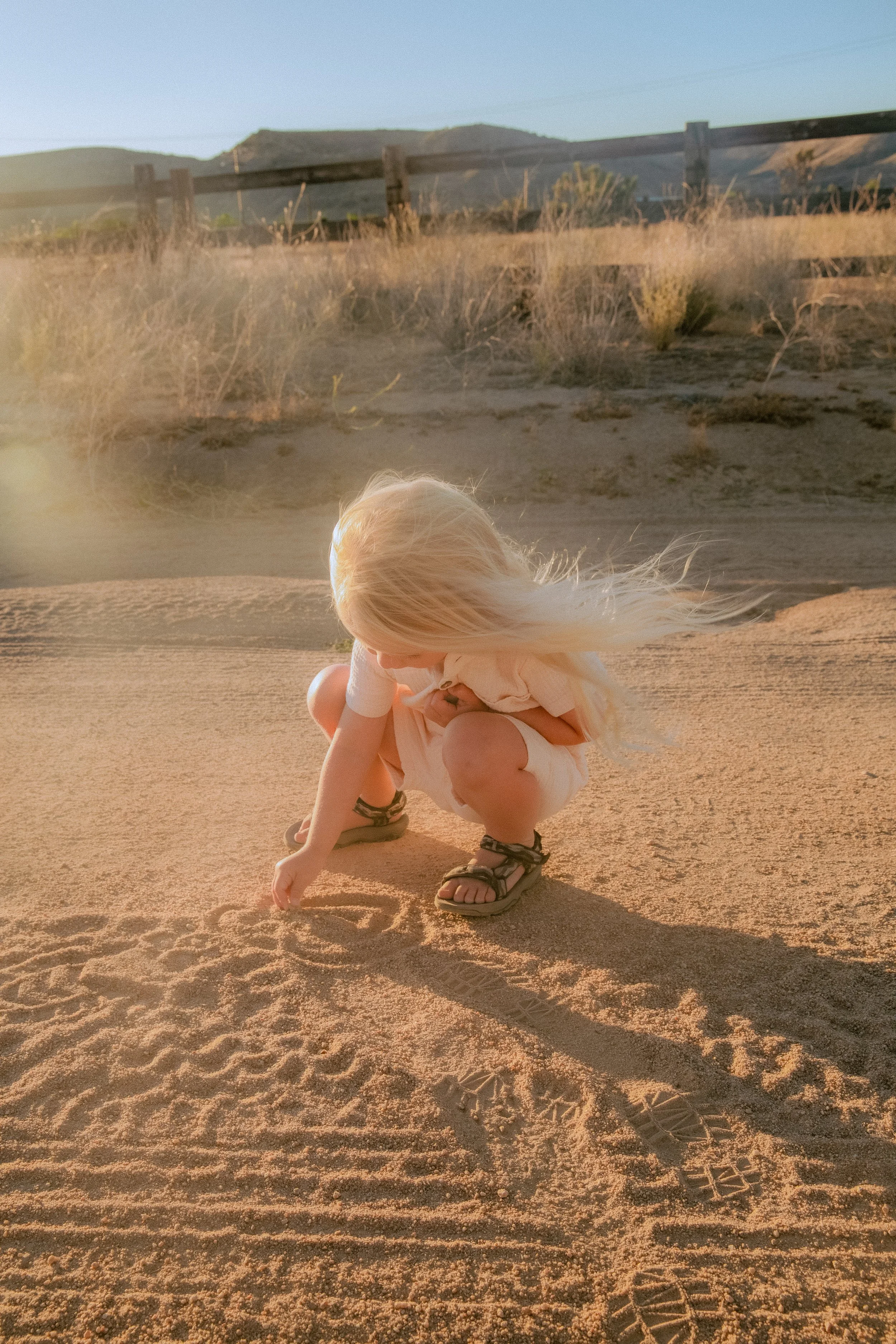 Photo Jun 12 2024, 7 13 06 PM.jpg