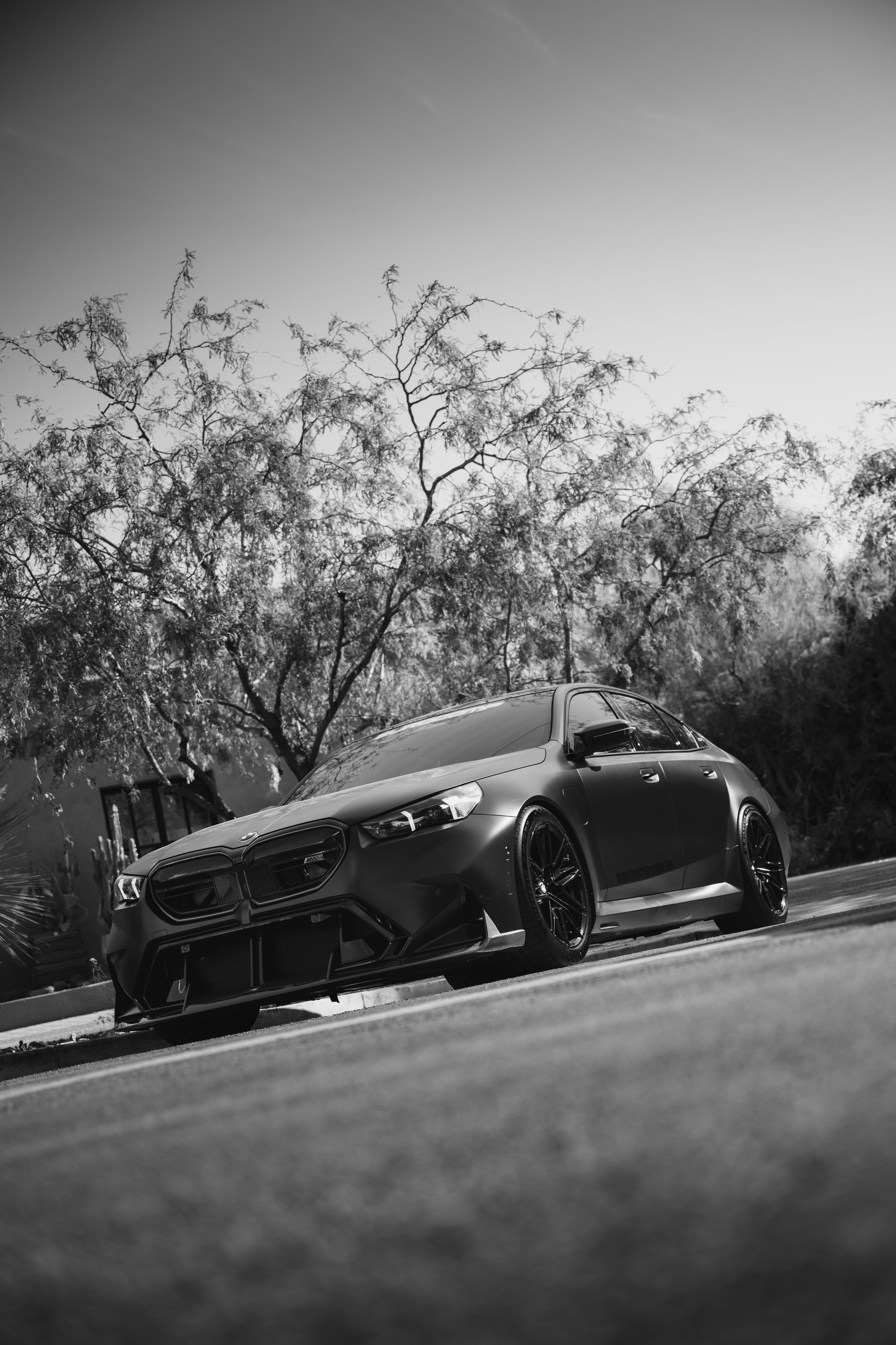 m5.jpg