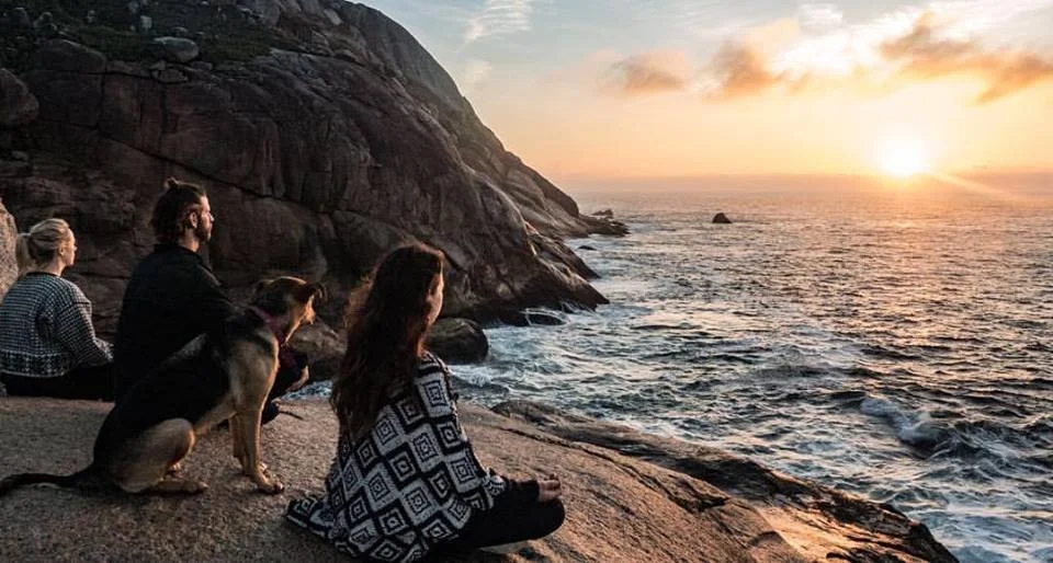 Sunrise Dog Meditation .jpg