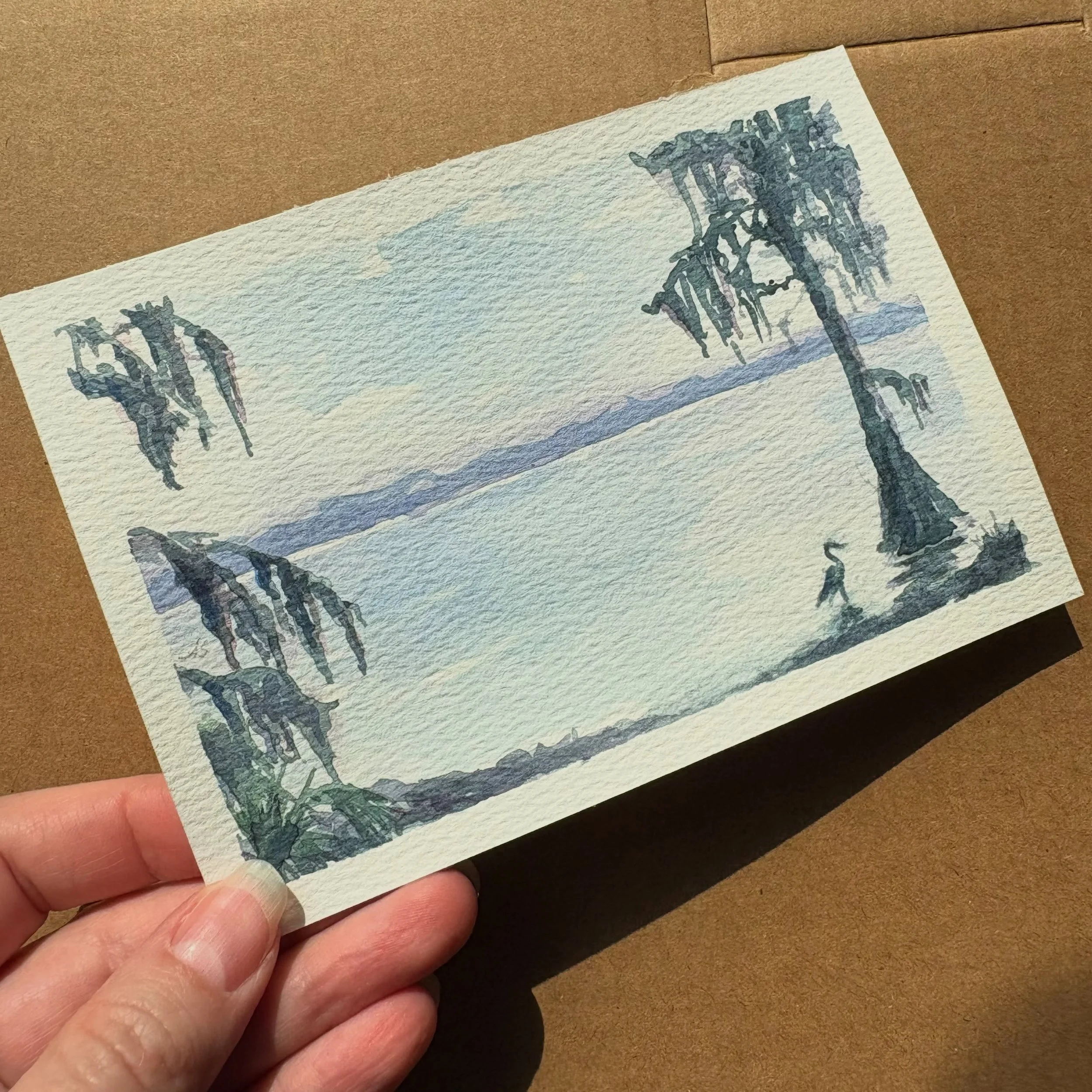 Just sent this little guy off to London to join the @winsorandnewton Art Mail Gallery, a little snapshot of Florida wildlife making its way across the Atlantic to join many others in a global collection. 

The backstory: Winsor &amp; Newton included 
