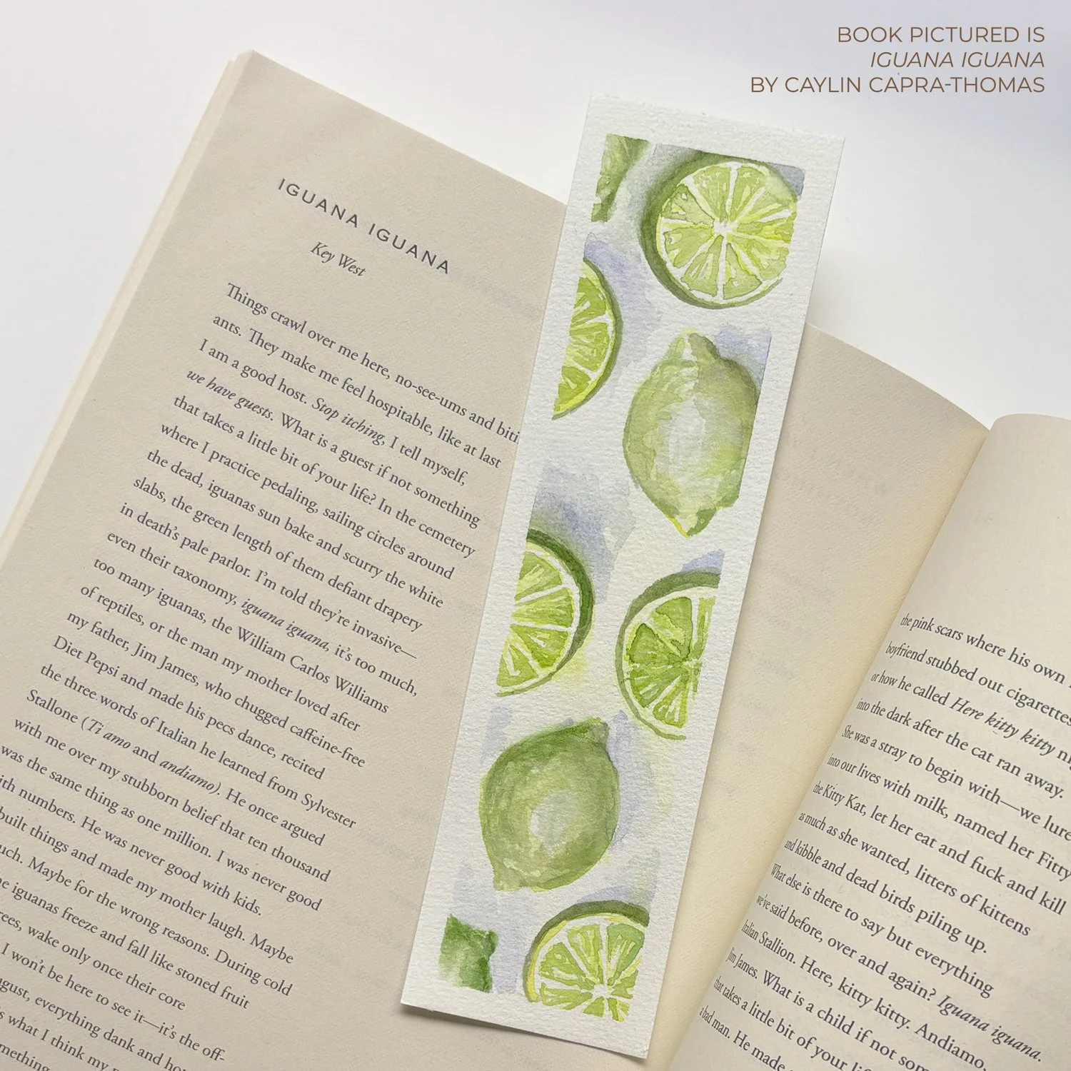 copyright-allison-stevens-wcbookmarks2.jpg