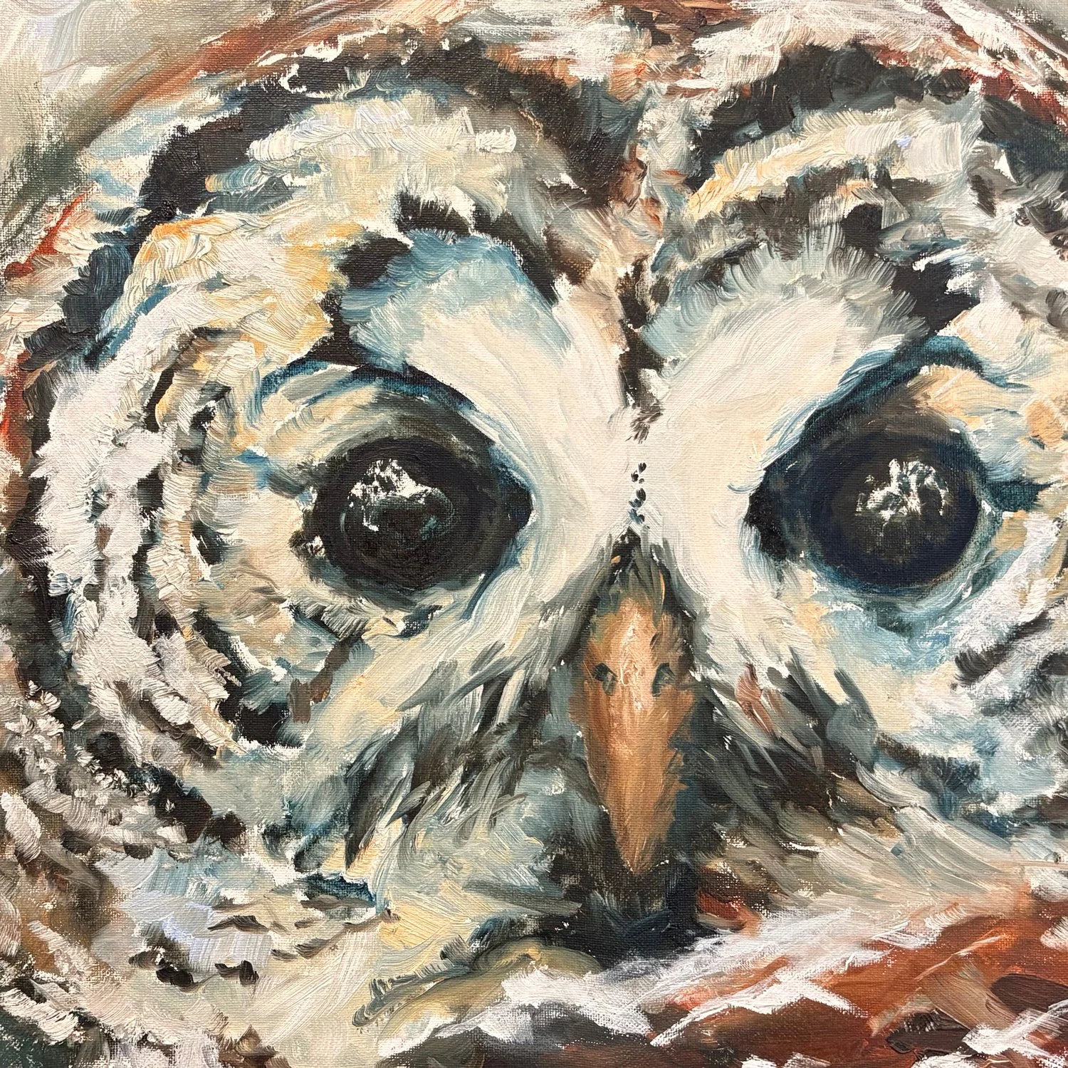 copyright-allison-stevens-barred_owl_no_2-closeup.jpg