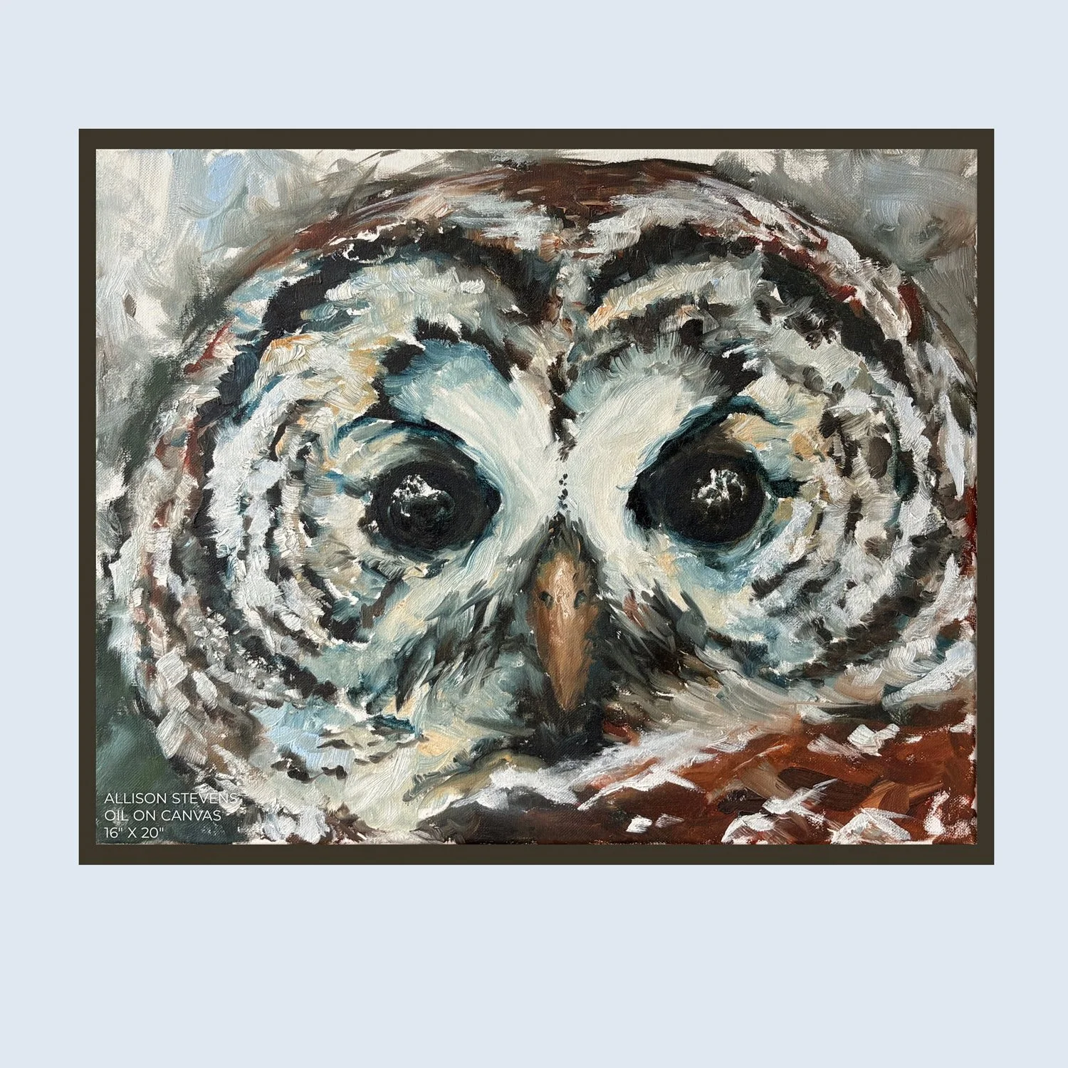 copyright-allison-stevens-barred_owl_no_2.jpg