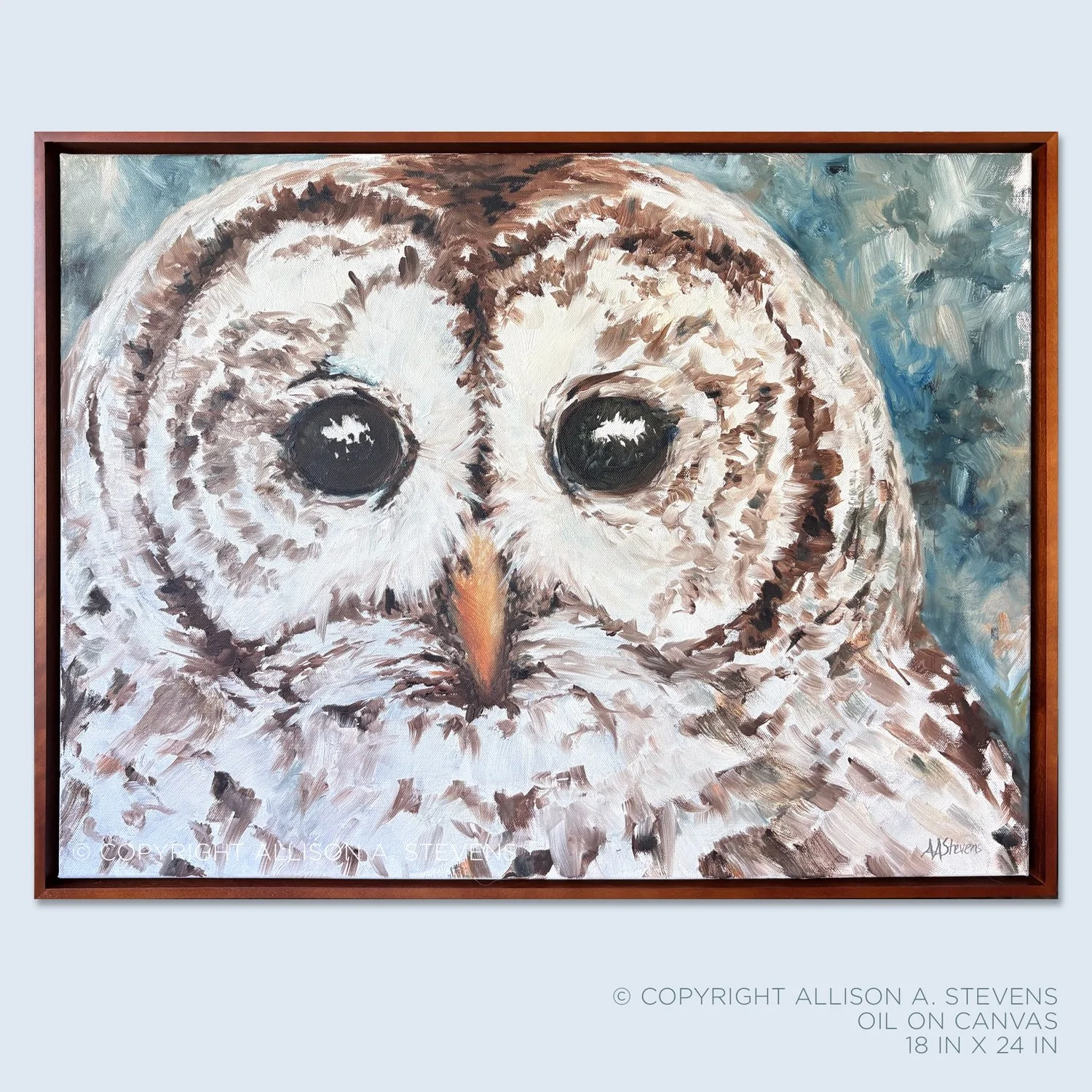 copyright-allison-stevens-barred_owl_no_3-framed_a.jpg