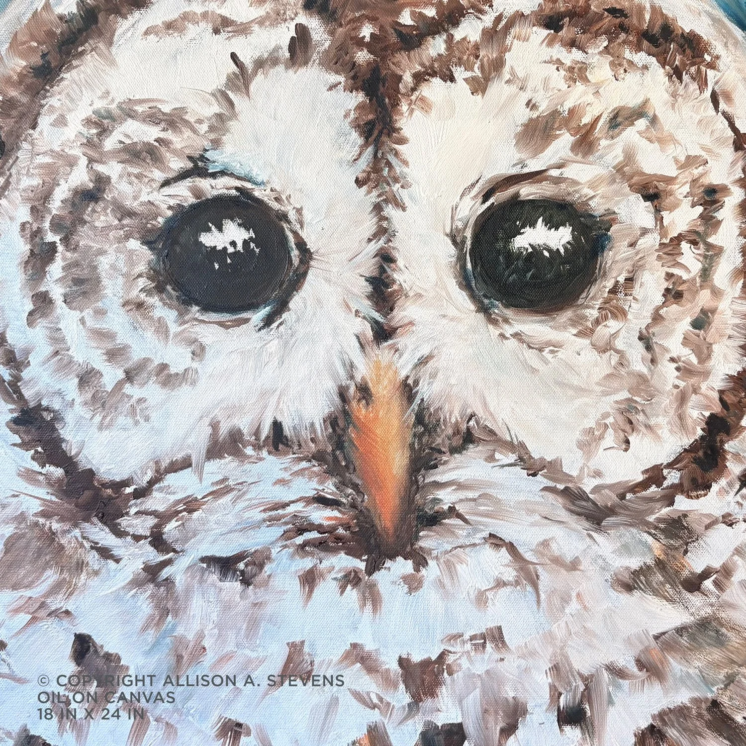 copyright-allison-stevens-barred_owl_no_3-closeup.jpg