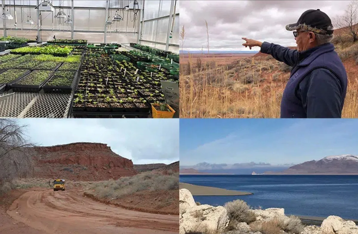 USDA funds climate conservation partnerships through grants, investments