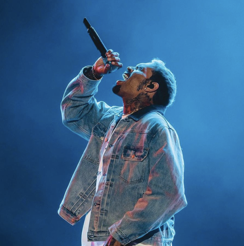 Chris Brown - One of Them Ones Tour