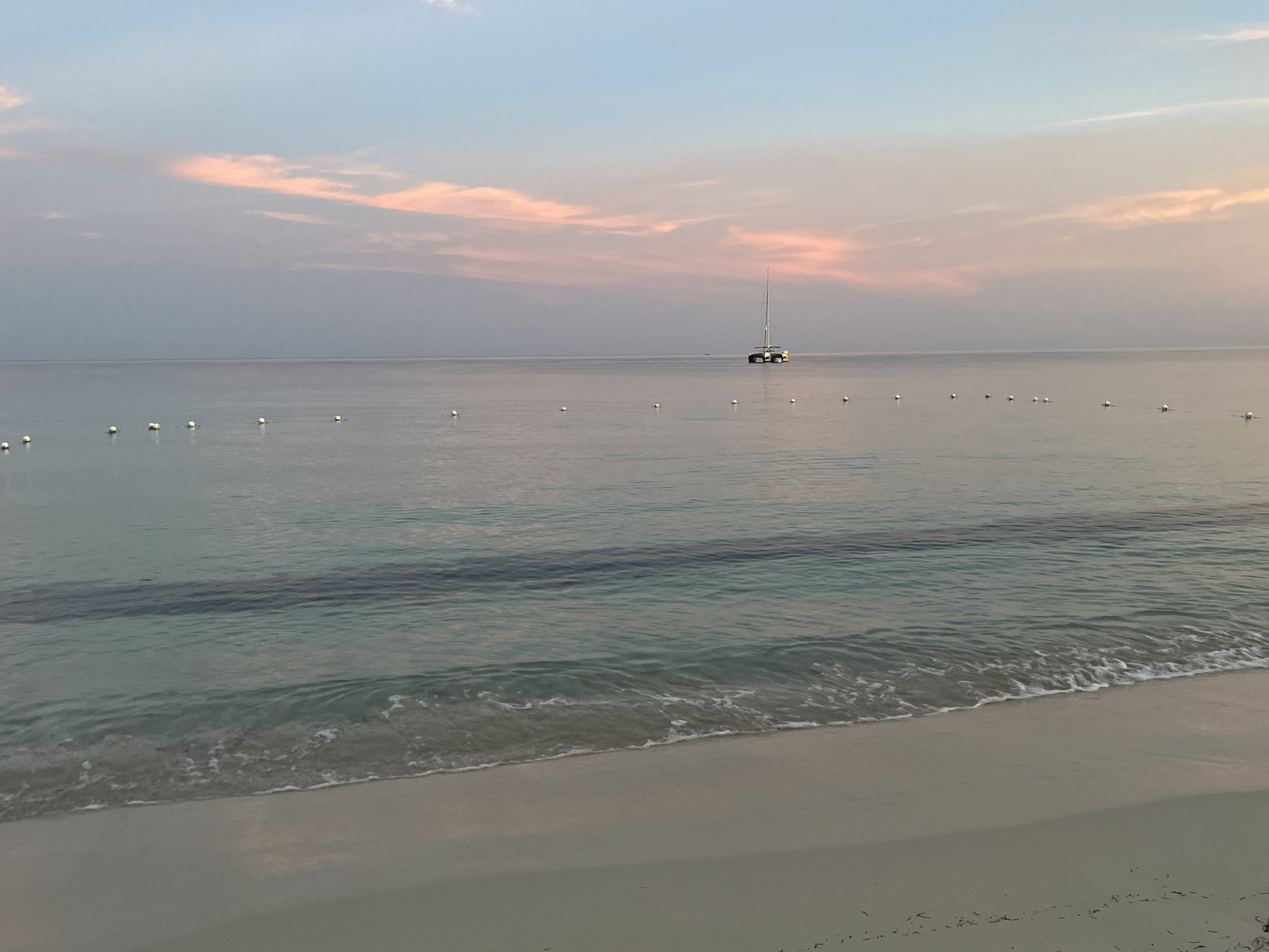 IMG_2816.jpeg