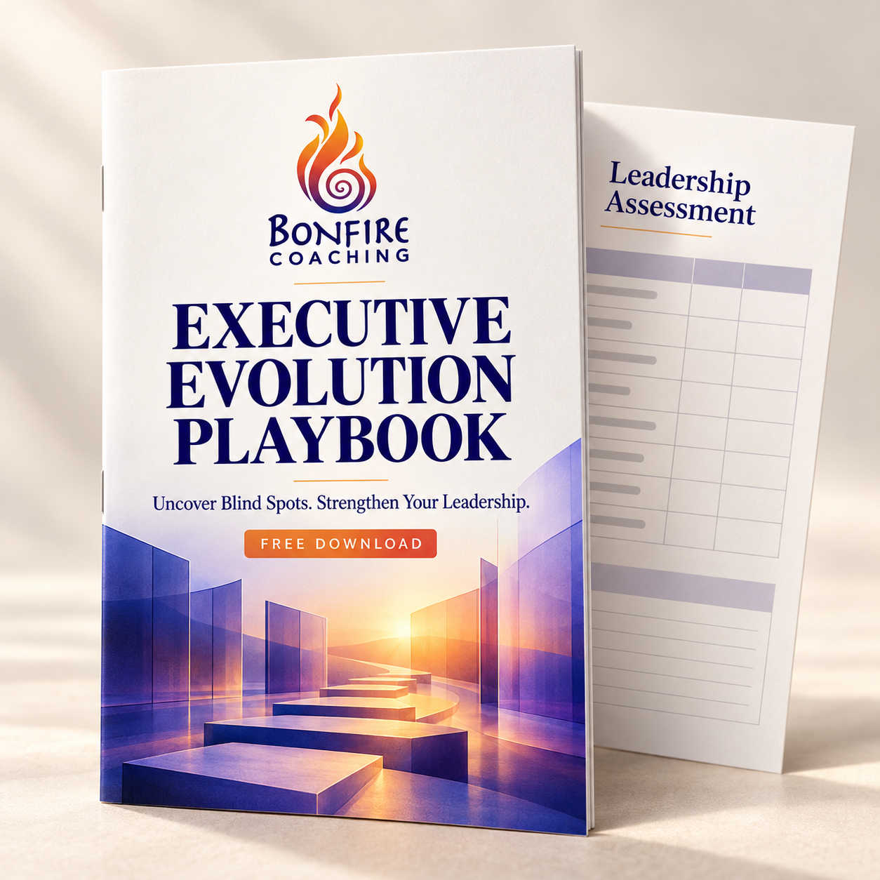 EXECUTIVE EVOLUTION GUIDE