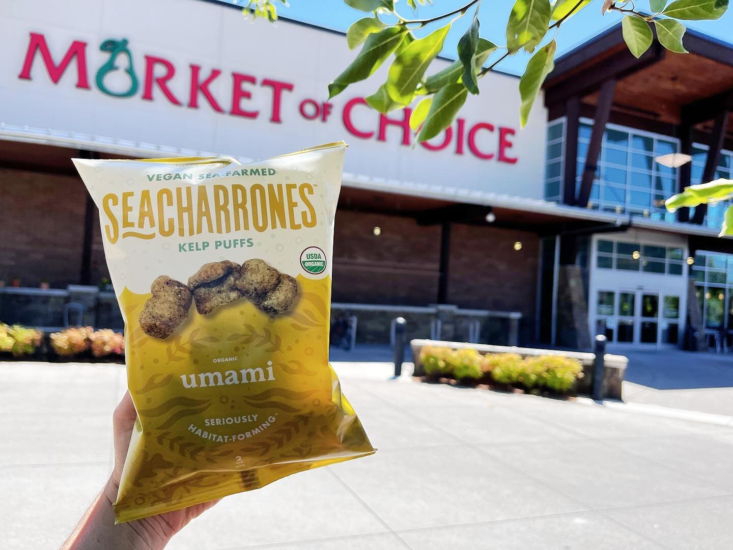 We&rsquo;re KELPing with excitement! 😆 You can now snag all three Seacharrones varieties at all ELEVEN Market of Choice stores throughout the great state of Oregon. 🎉 @marketofchoice