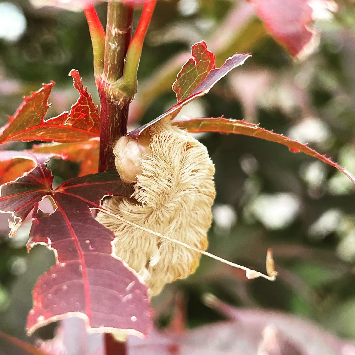 Good morning! It&rsquo;s a beautiful day. Don&rsquo;t let it get away. 🌞