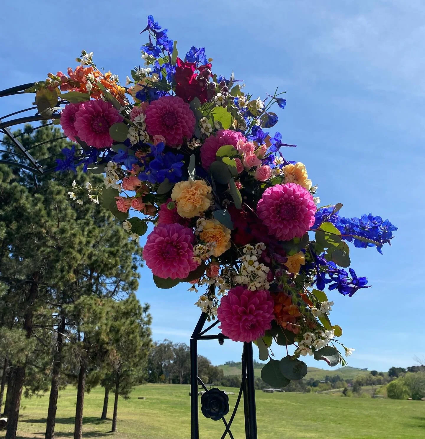 The arbour for Beth and Chris was bright and bold ! At Yarralumla woolshed it was a gorgeous venue with a great view. I am open for 2026 bookings ! #freshflowers #weddingday #love #arbourflowers #bridalflowers #canberraweddings #brideandgroom #justma