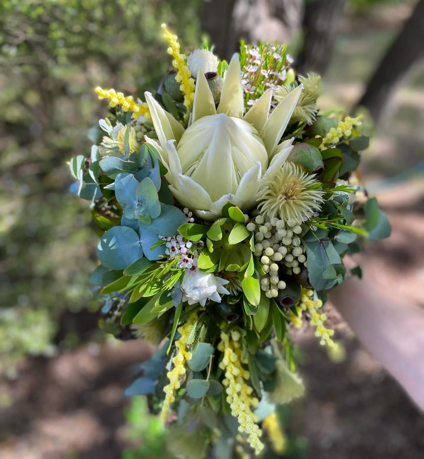 Native flowers really are a favourite for weddings. With the textures and surprising variety of colours they really do stand out. This was a slightly cascading bouquet for beautiful Britt on her big day recently 🤍✨ #nativeflowers #weddingflowers #lo