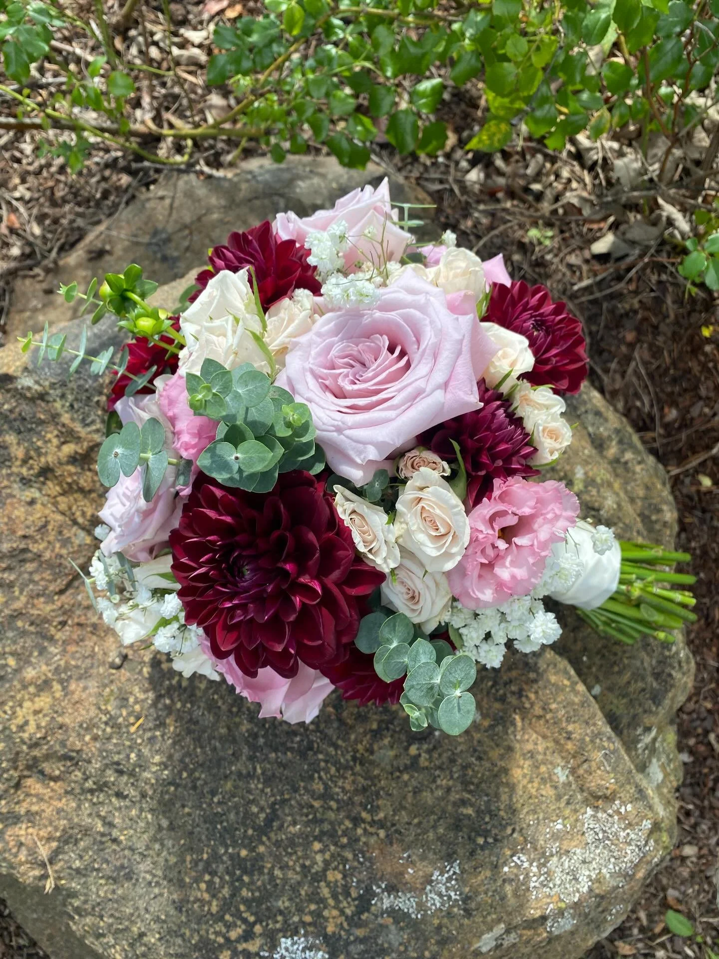 6.3.26 🤍Carly &amp; Scott what a beautiful day! At the @thechapelgoldcreek and @themanoratpulp I had the pleasure of working with some great vendors too, shout out to @the_bridal_muse and @celebrantkiki @picturethisphotography.co @cassandraleehairan