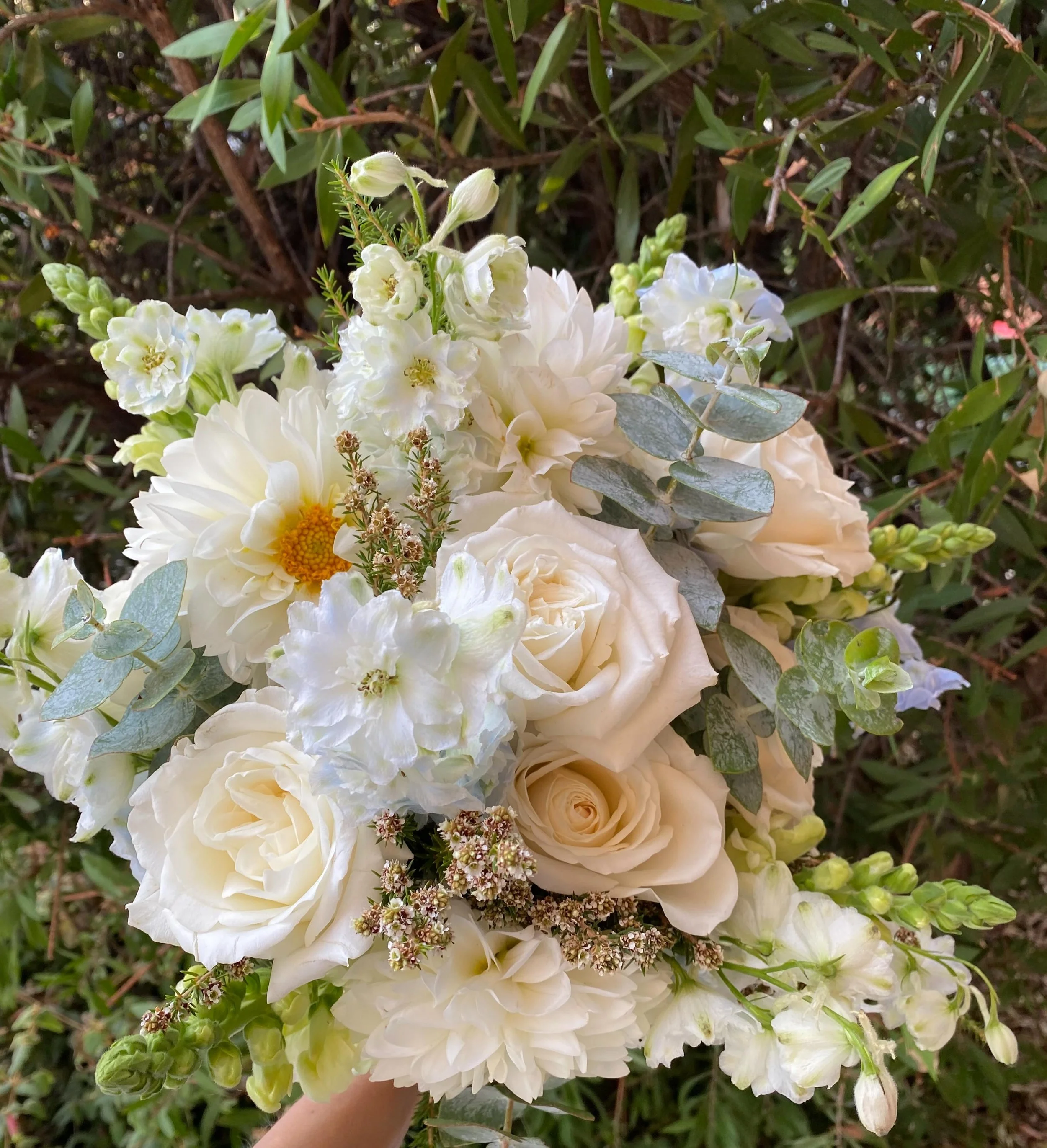 Soft pretty garden style bouquet with a touch of something blue 💙🩵🤍#bridalbouquet #freshflowers #gardenstyleflowers #blueflowers #bridetobe