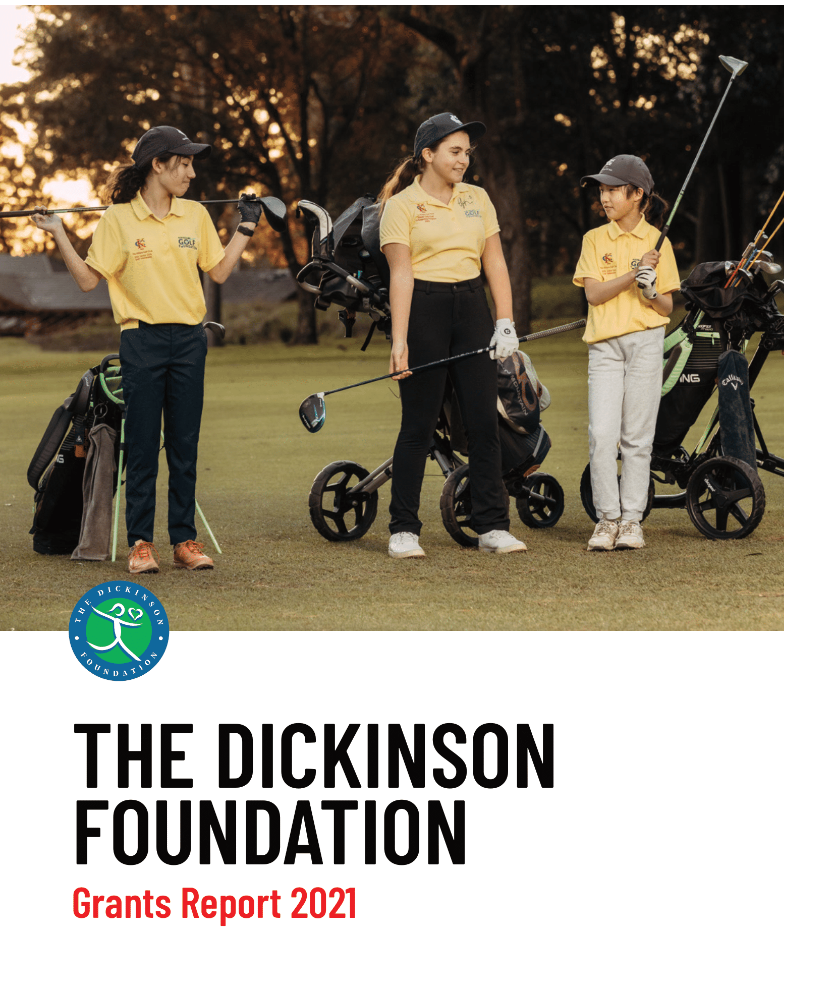 TDF Grants Report 2021 - Final-1-01.png