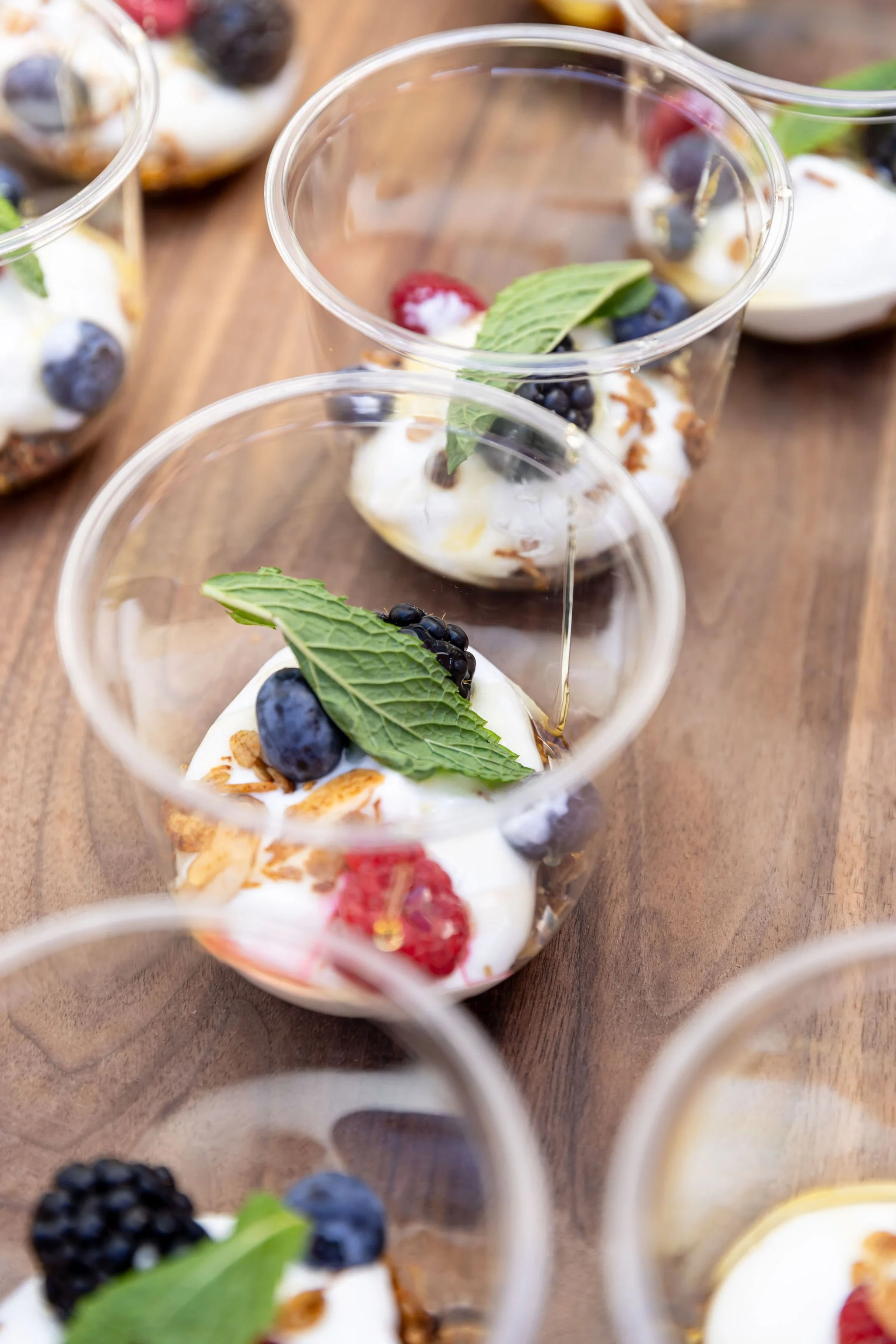 Wellness Samples &amp; Services