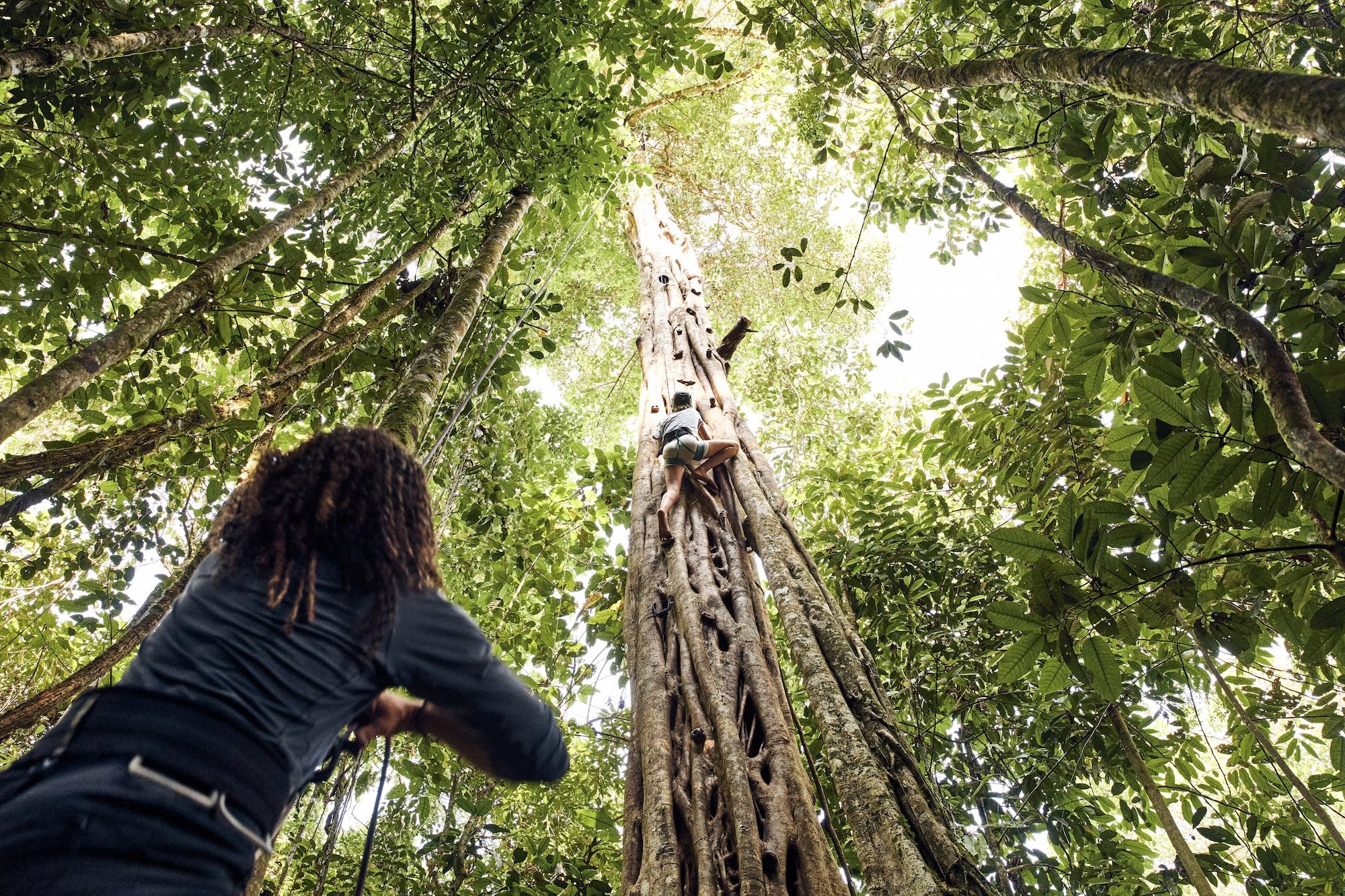 ALG_Experiences_Ficus-Tree-Climb_2023_4.jpg