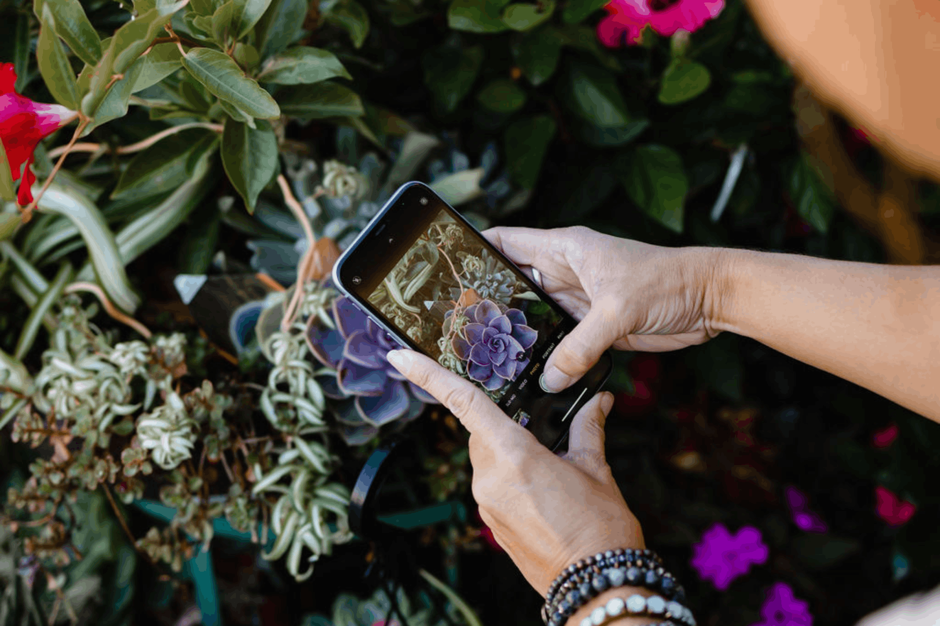 micro habits for social media