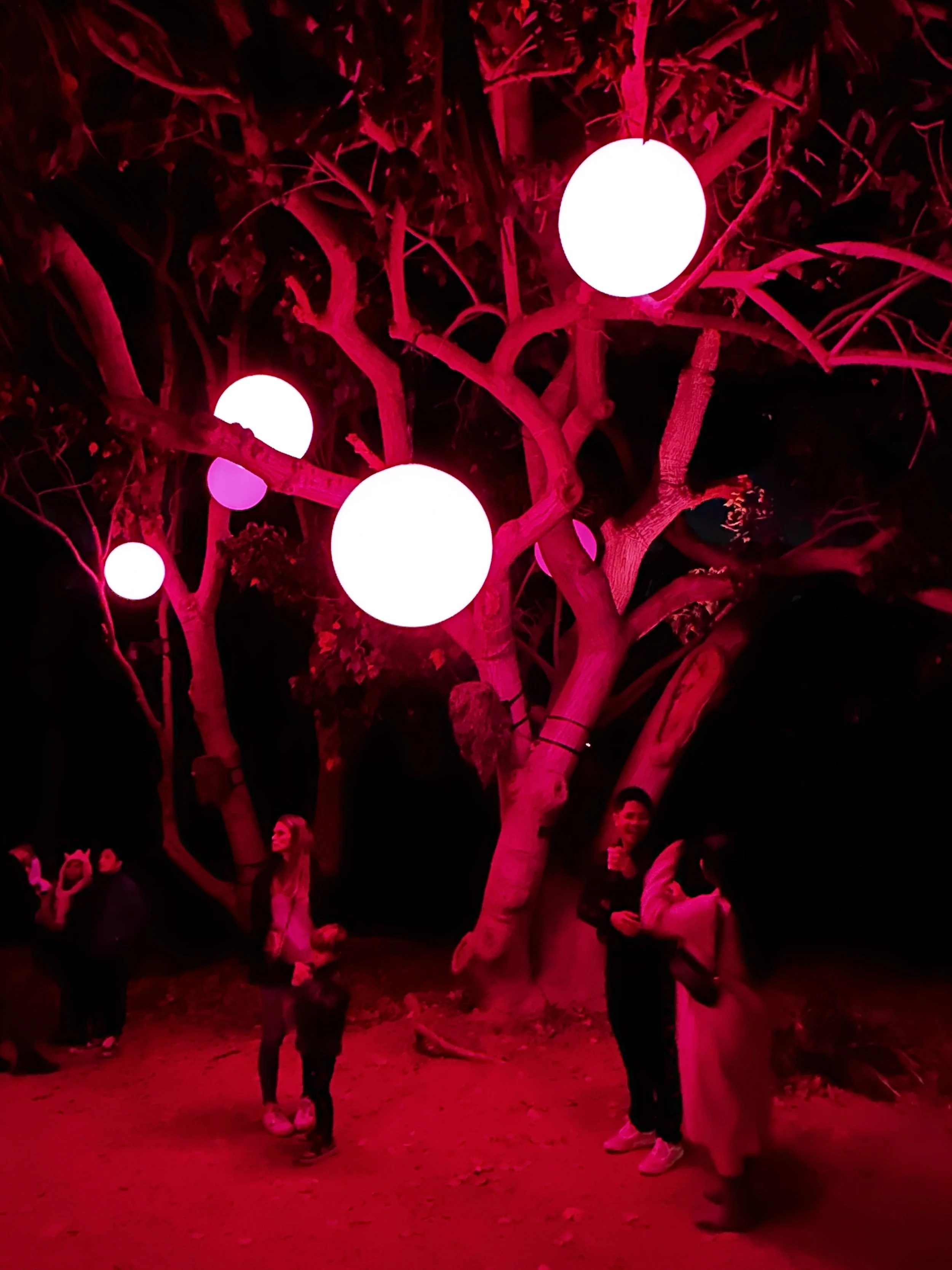 Astra Lumina Light Show in December 