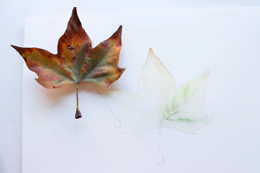 How to Paint Fall Leaves with Watercolor — The Last Pigment