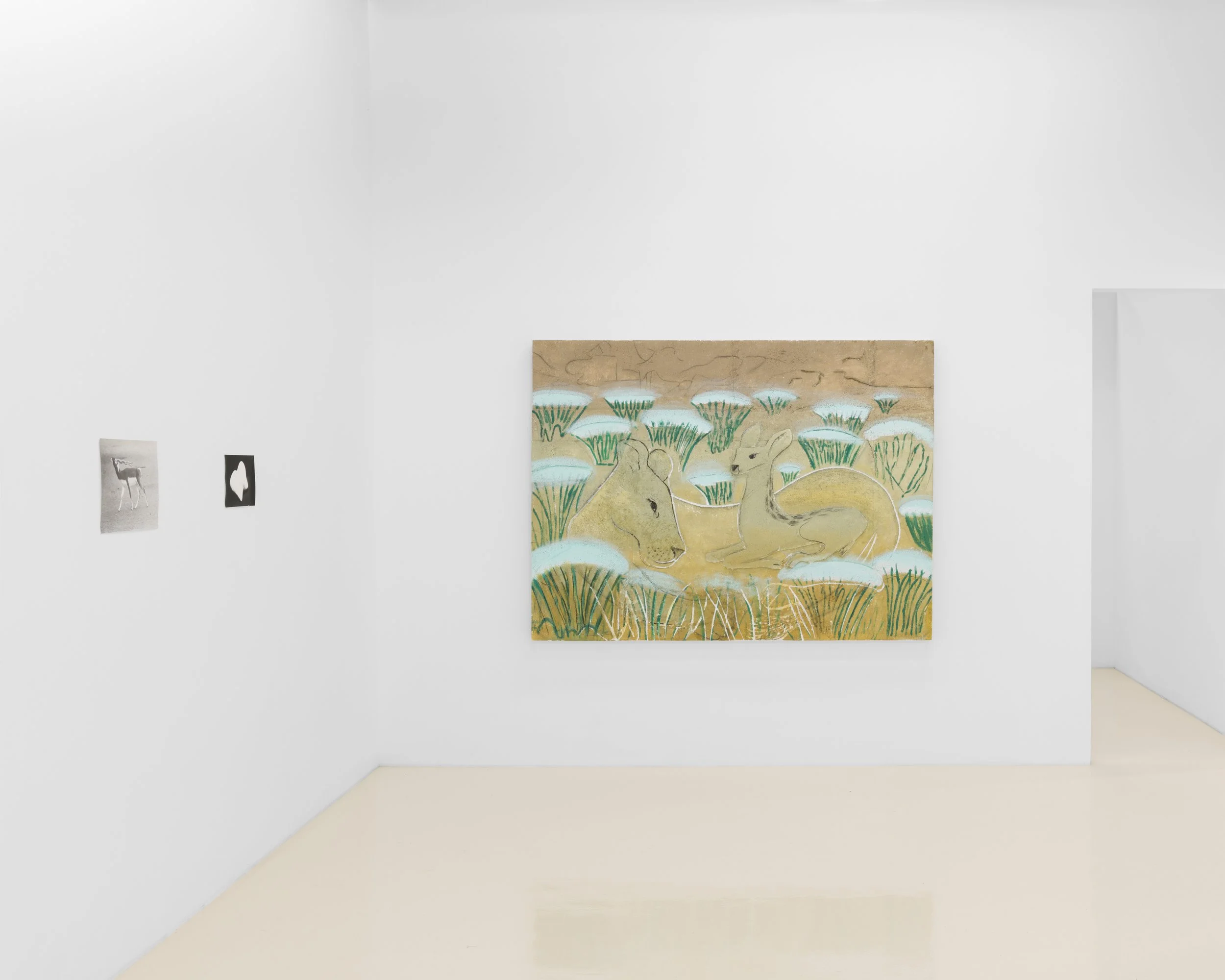 Installation image, Jochen Lempert and Lin May Saeed, Chris Sharp Gallery, Los Angeles, 2023