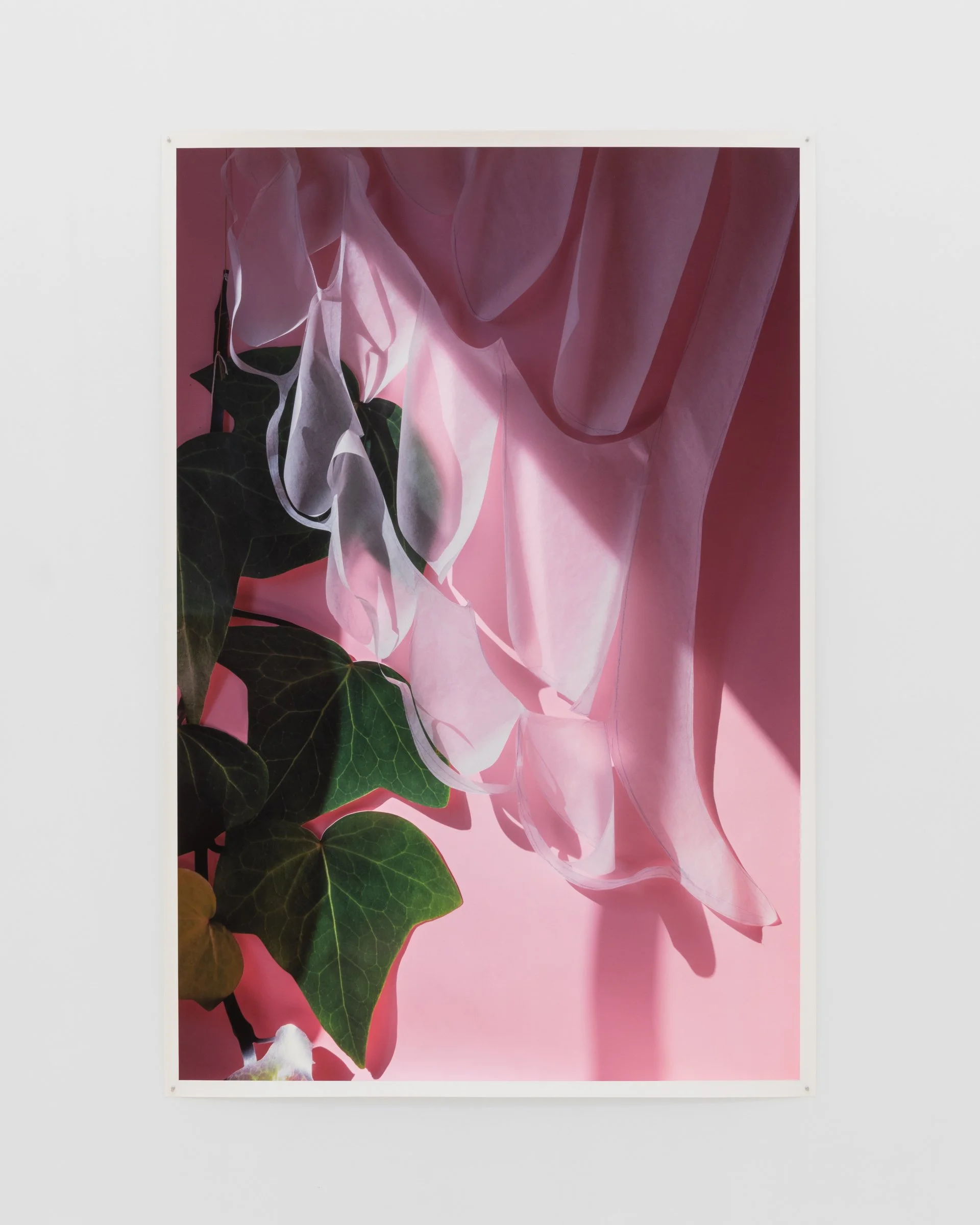 Leaves, 2025. Archival inkjet print, 86 x 57 in (218.4 x 144.8 cm)