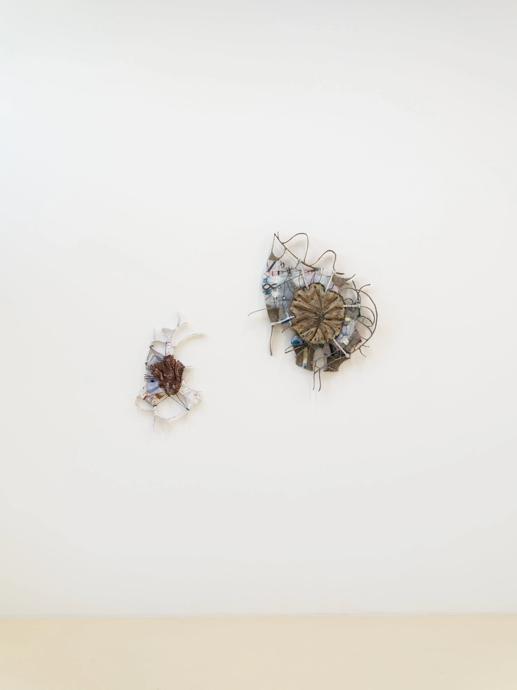 _DSF6110_WEB.jpg