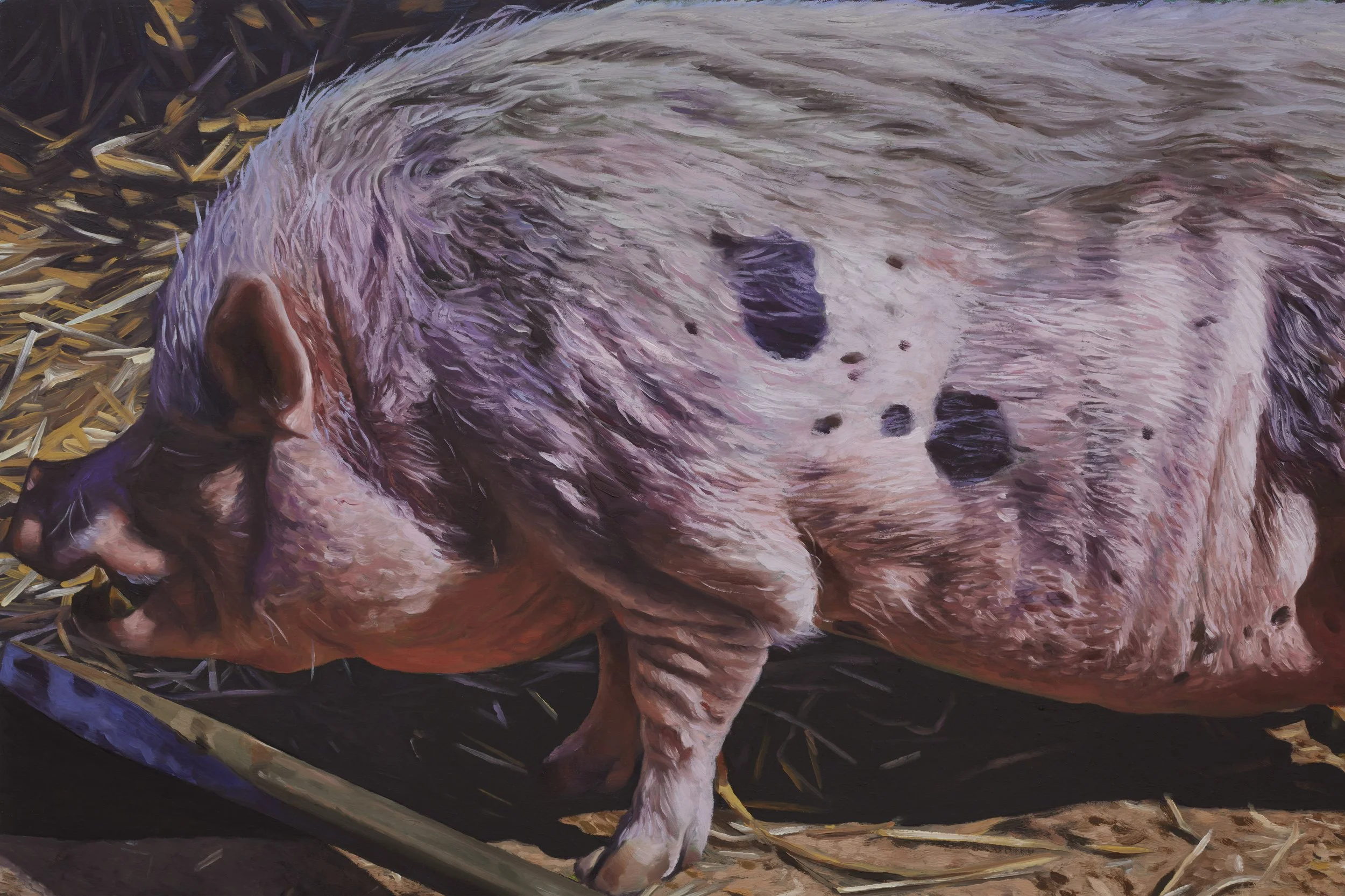Pig with Screwdriver, detail
