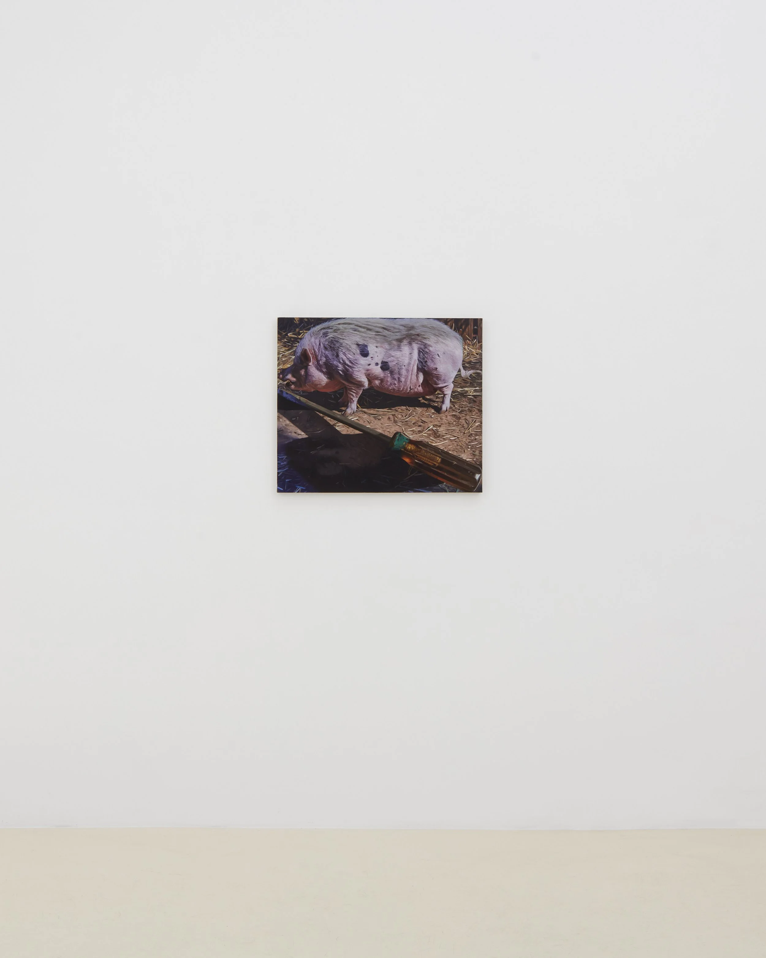 CSG_Adam Higgins_Lollipop_42871_1.jpg