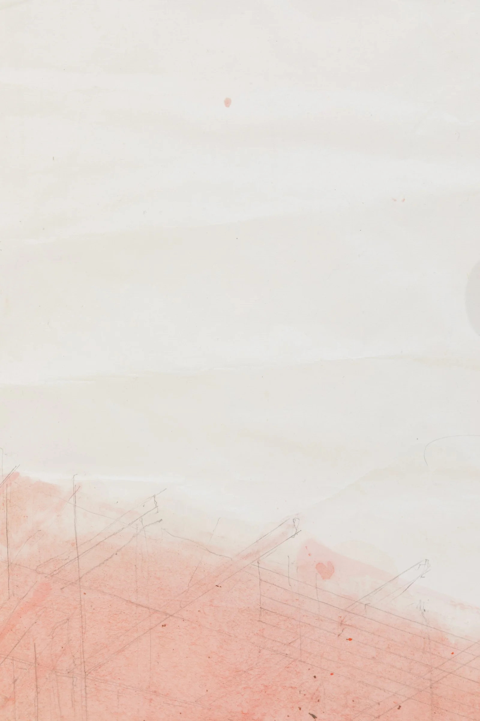 health house pink (small), detail