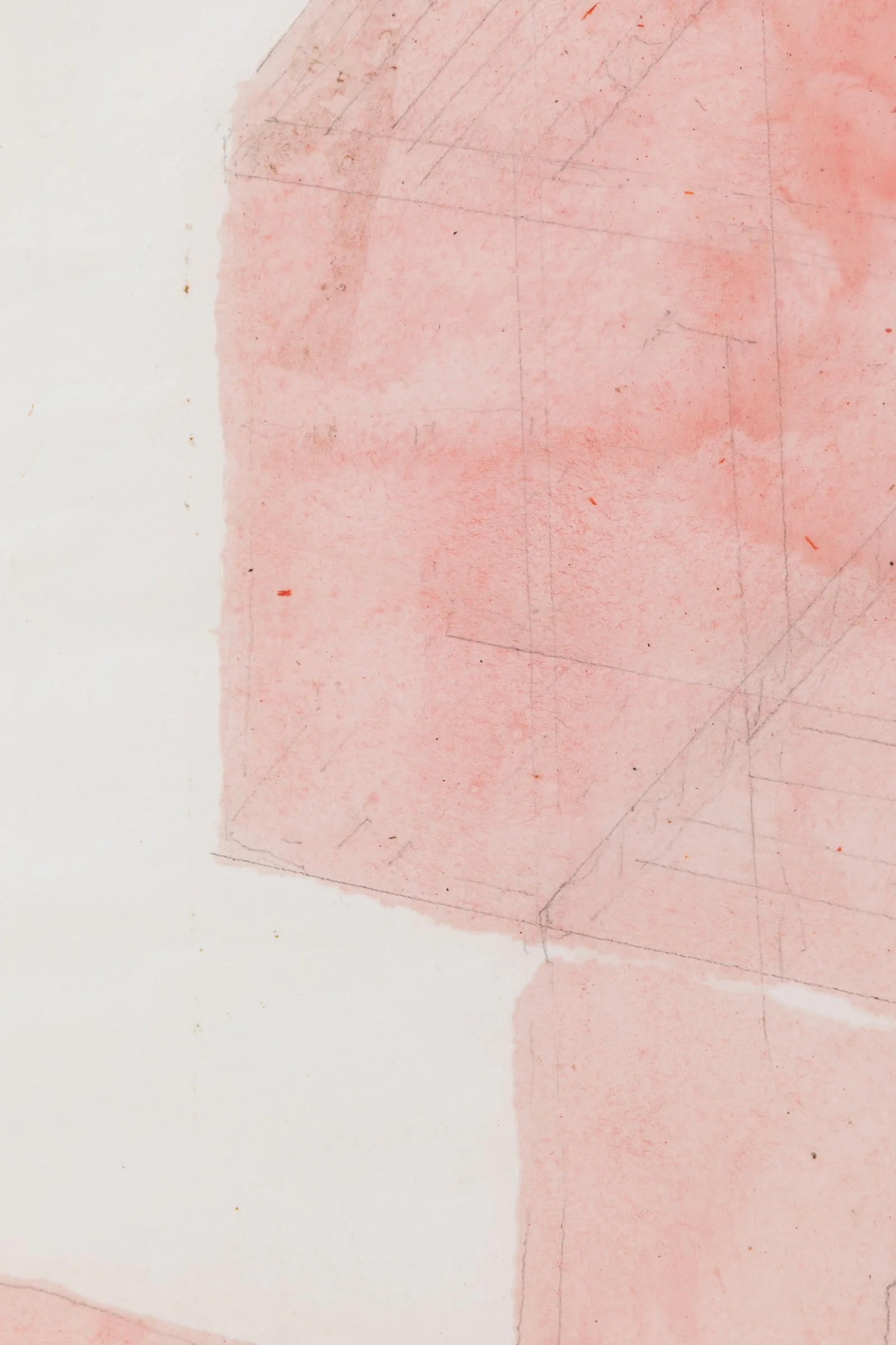 health house, pink, detail