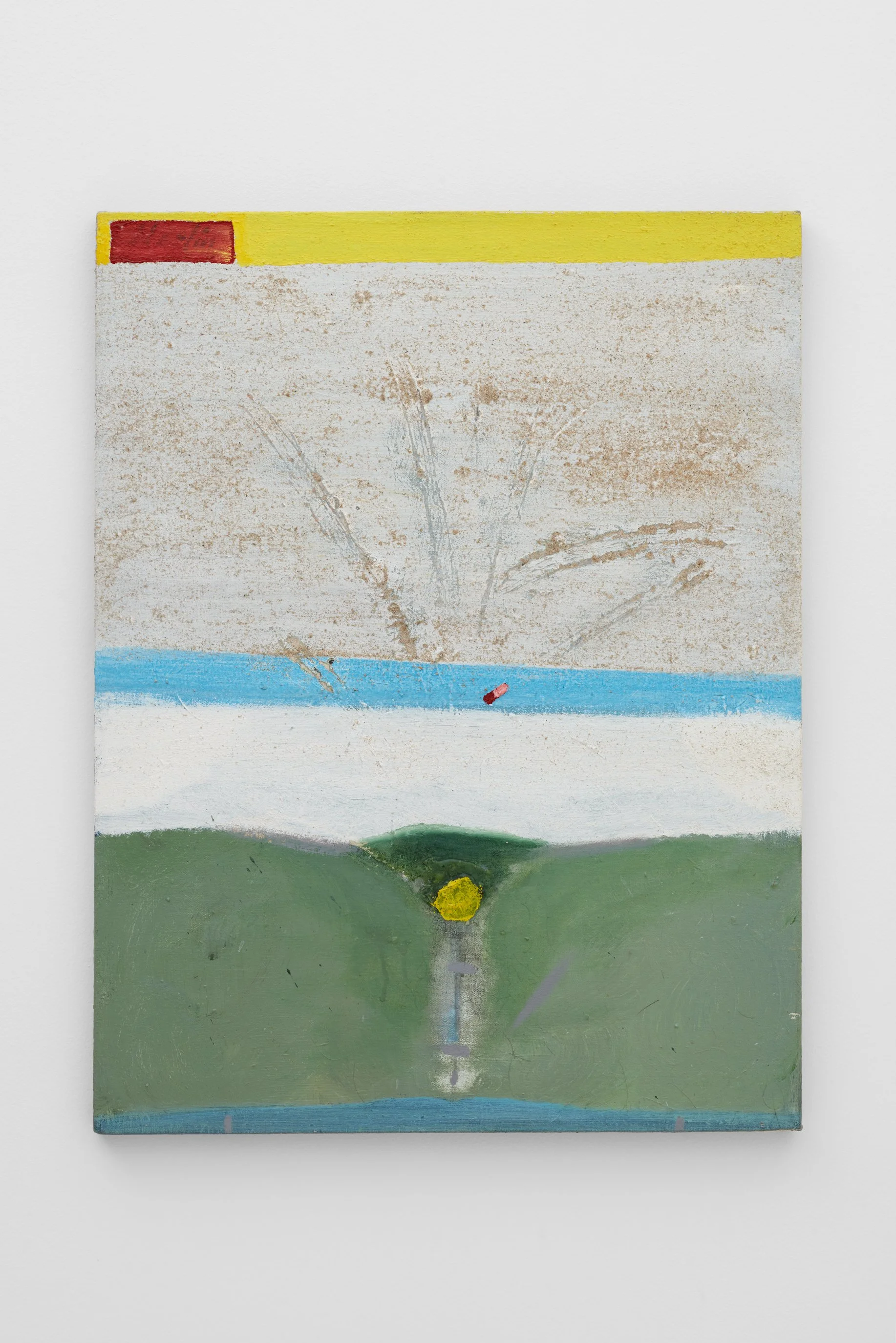 Merlin James, Torso (front), 2011-12. Acrylic on canvas, 26 1/8 x 19 3/4 in (66.5 x 50 cm)