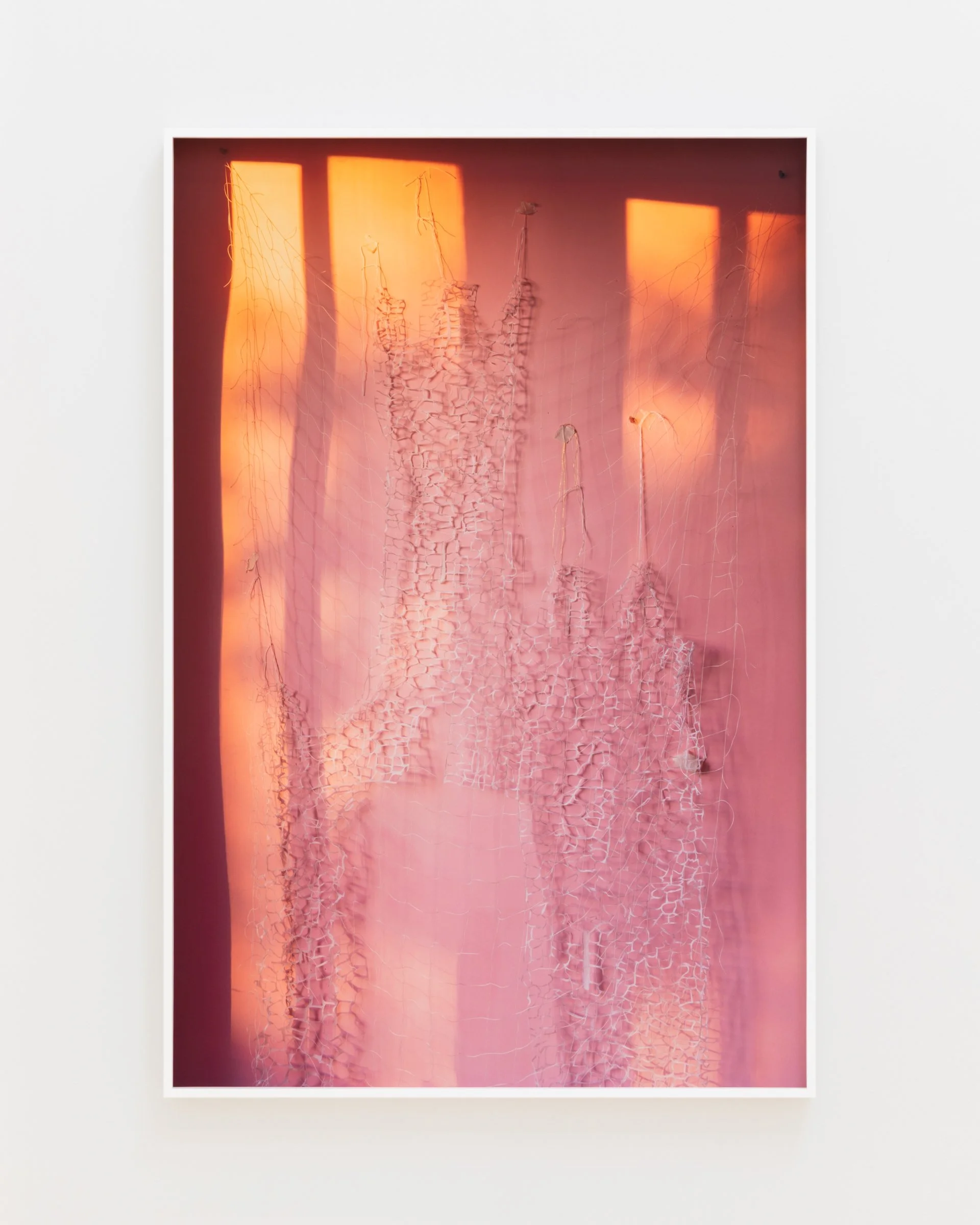 Stronghold (pink), 2025. Archival inkjet print, 45 x 30 in (114.3 x 76.2 cm)
