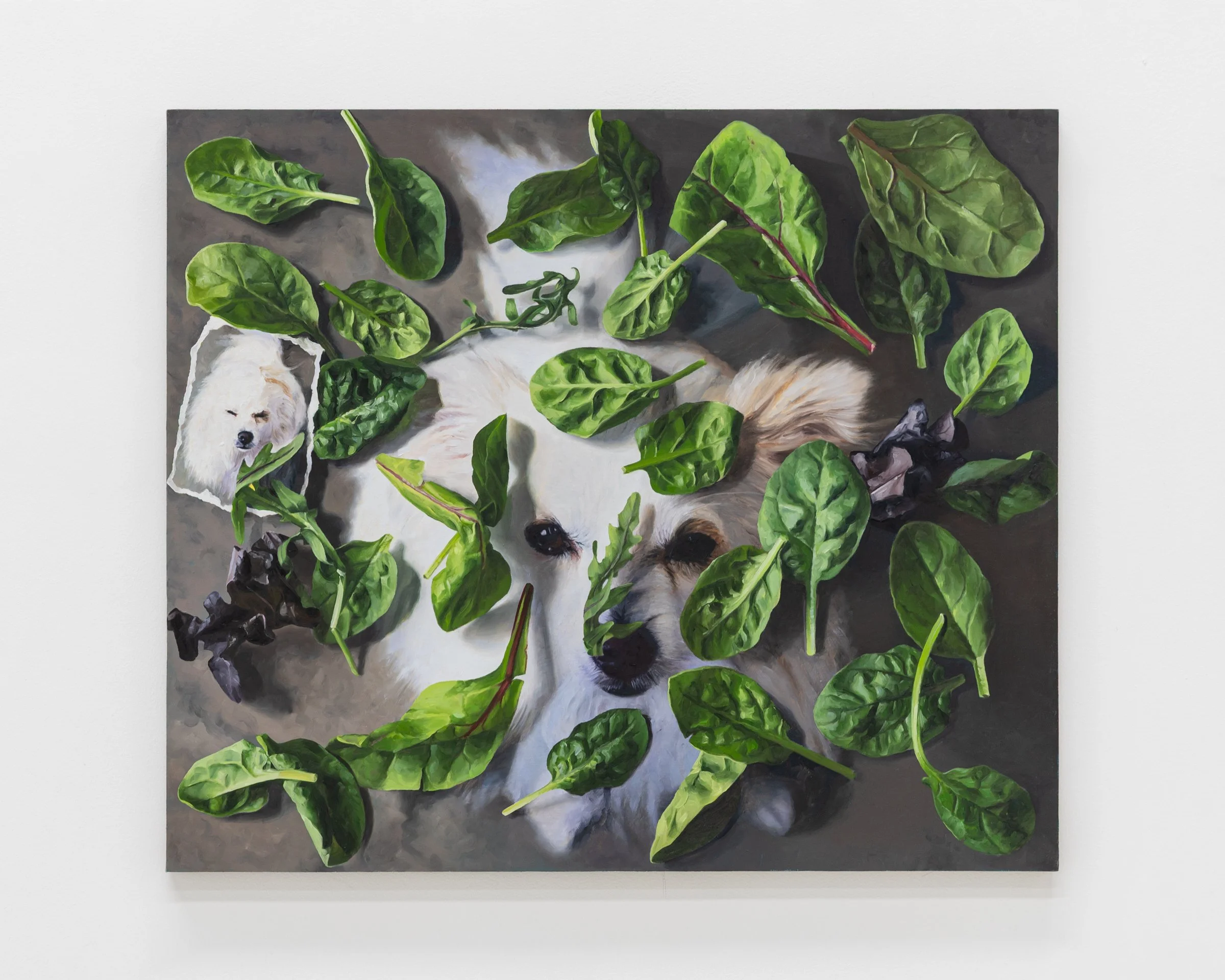 Mixed greens and my dog, 2024. Oil on linen, 23 x 26 in (58.4 x 66 cm)