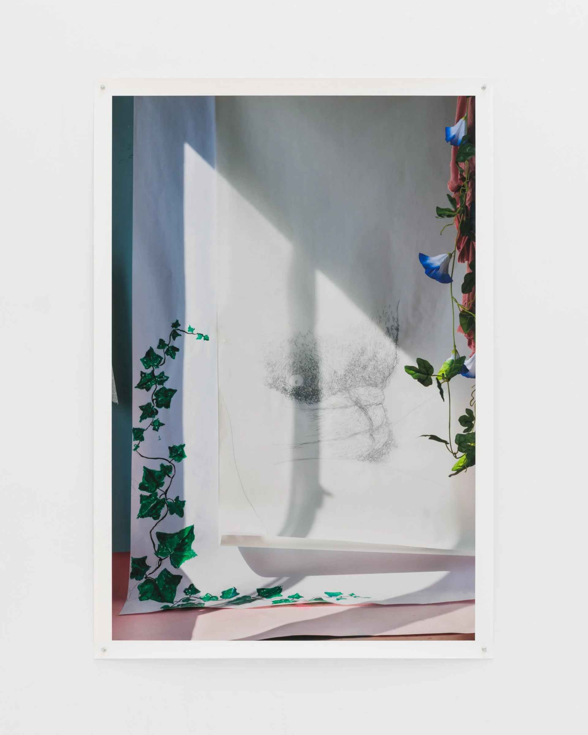 Thicket, 2025. Archival inkjet print, 45 x 30 in (114.3 x 76.2 cm)