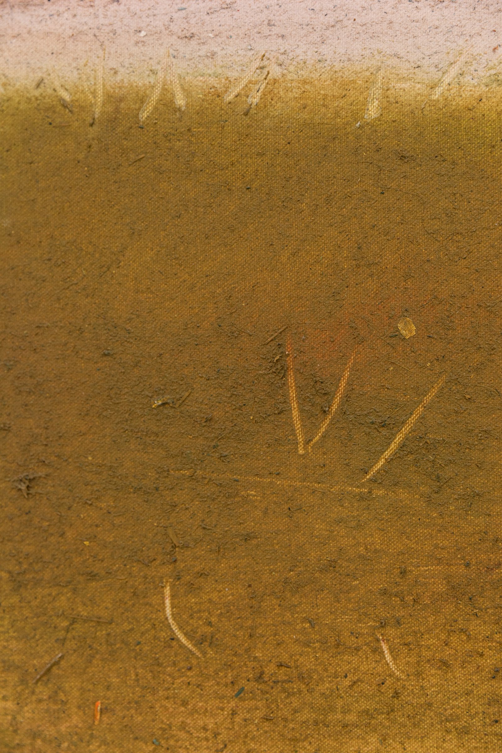Landspace, detail