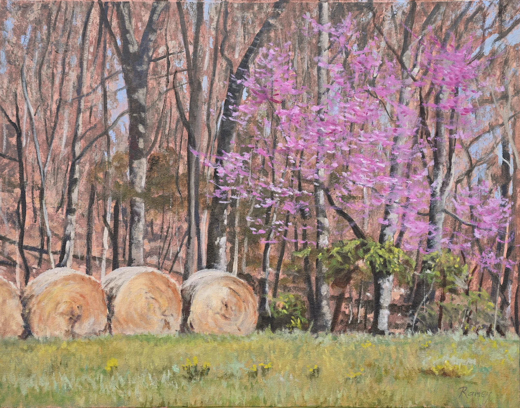 Hay Bales and Redbuds