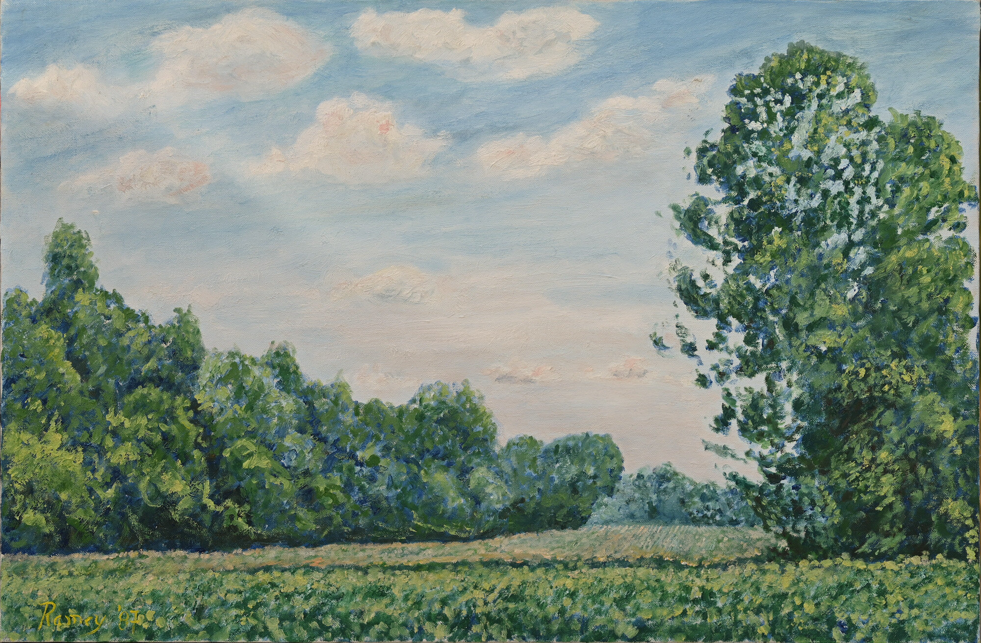Rapidan River Cornfield, Summer, Oil on Canvas, 16” X 24”