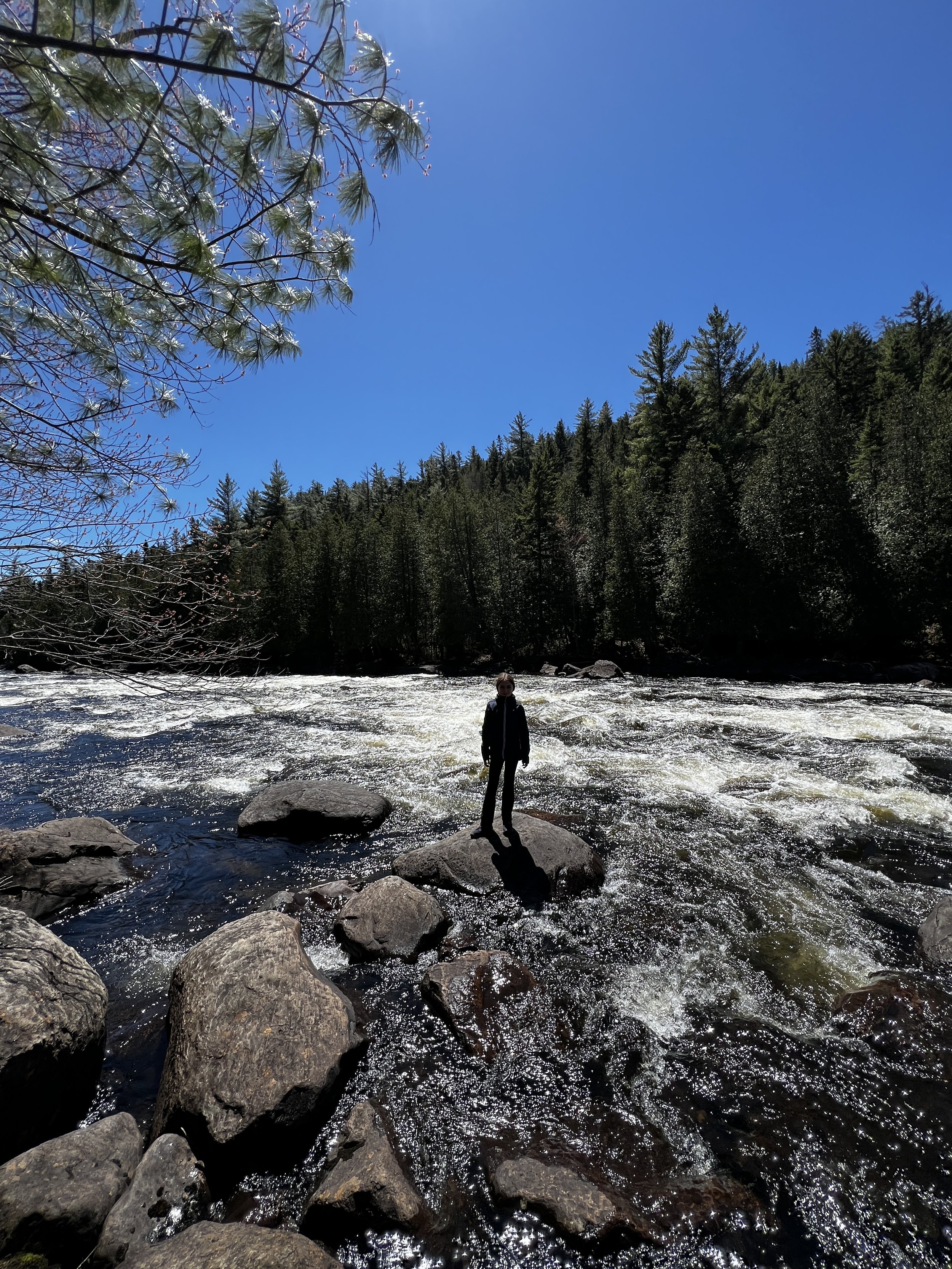 TOP RANDONNÉES, FORÊT DE OUAREAU