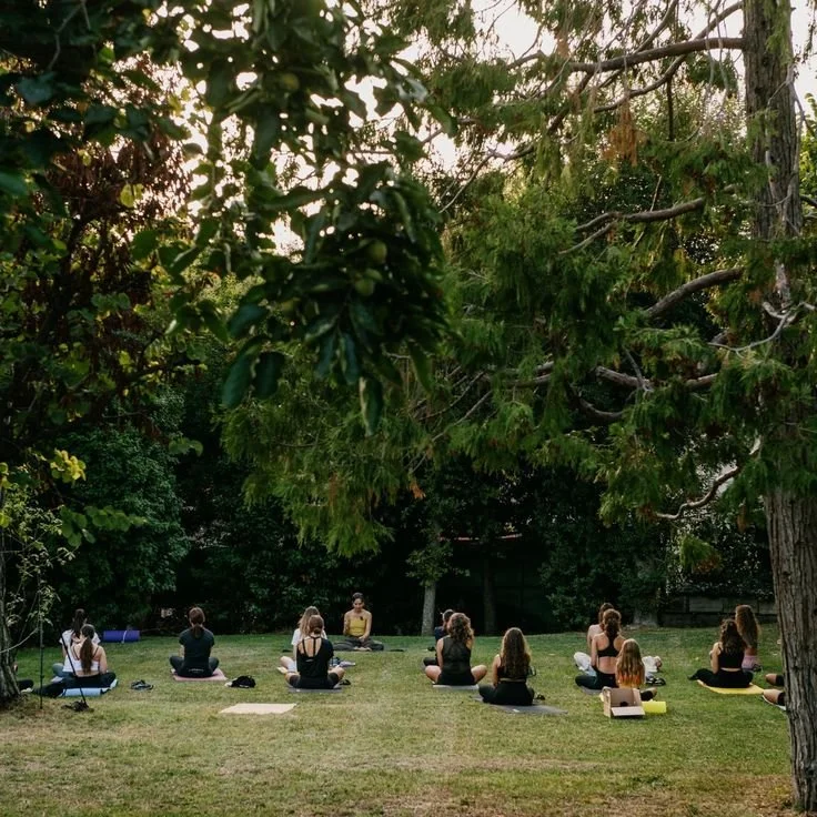 🌿 What I learned from our first Yoga….jpeg