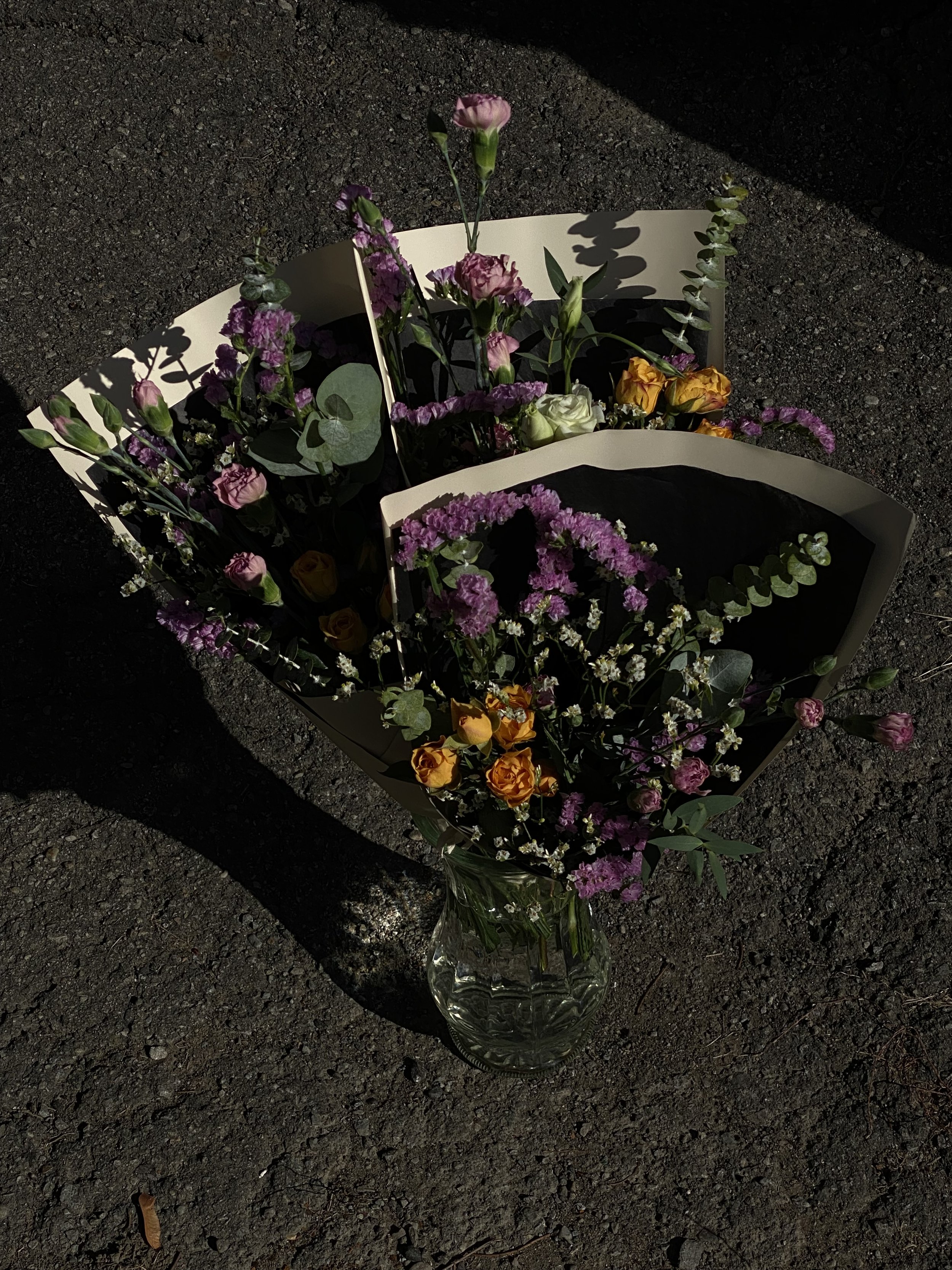 IMG_2662.jpeg