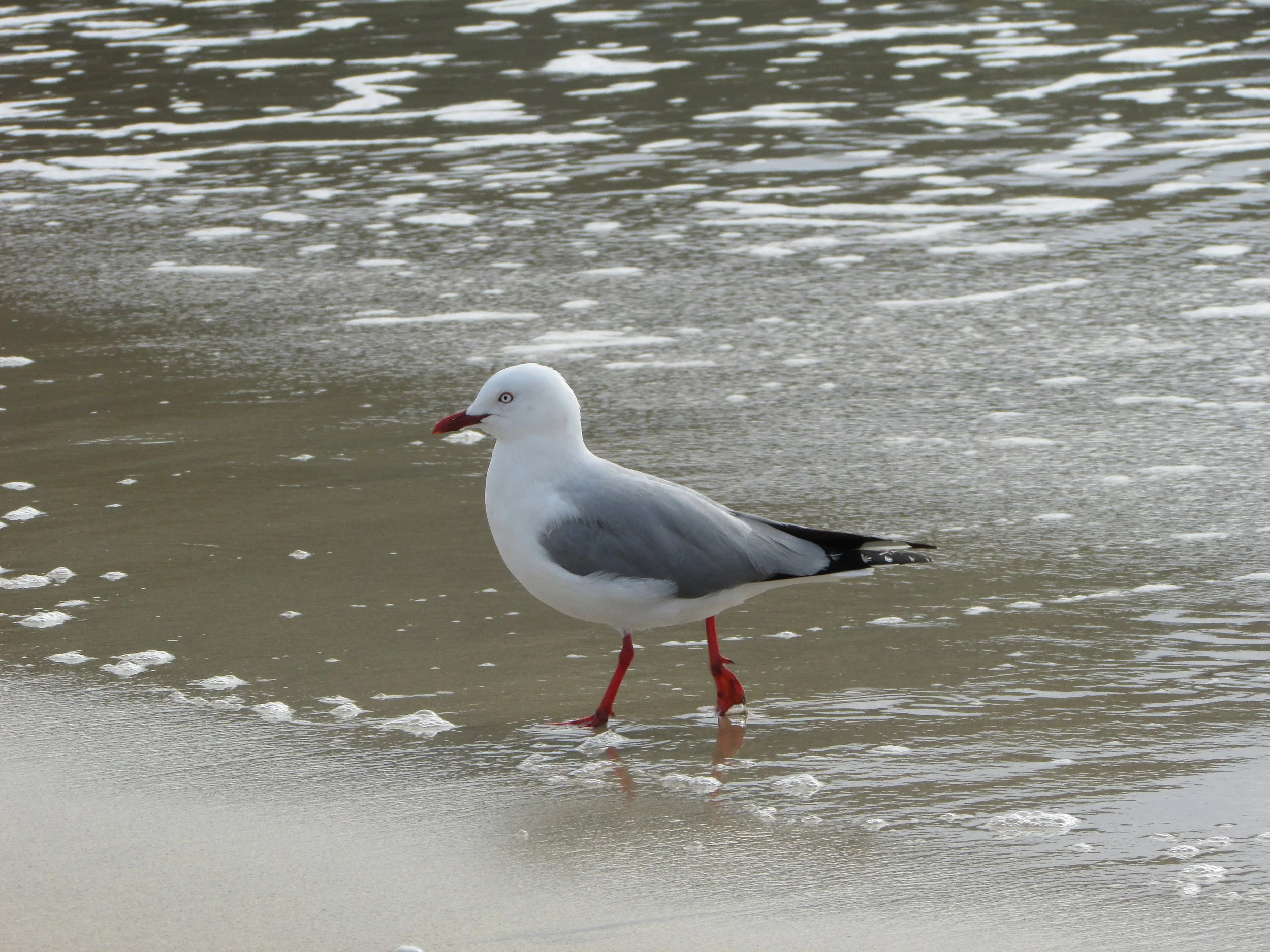 IMG_0901.JPG