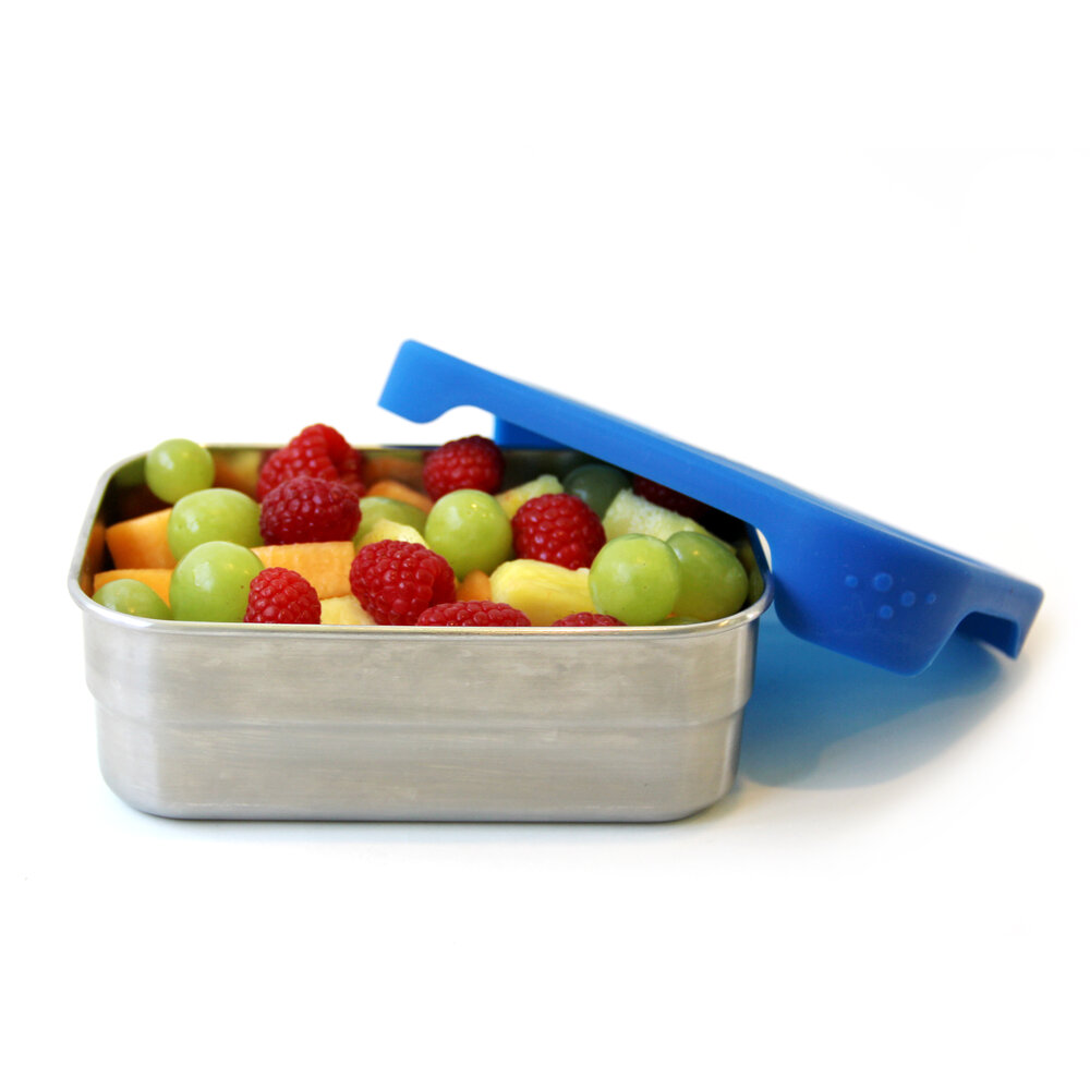 ECOlunchbox Splash Box  Leak-Proof Stainless Steel Lunch Box