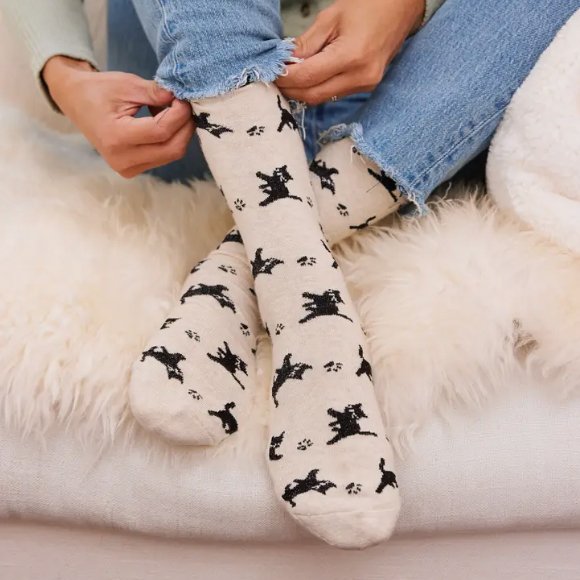 Socks that Save Cats — Eco Maniac Company
