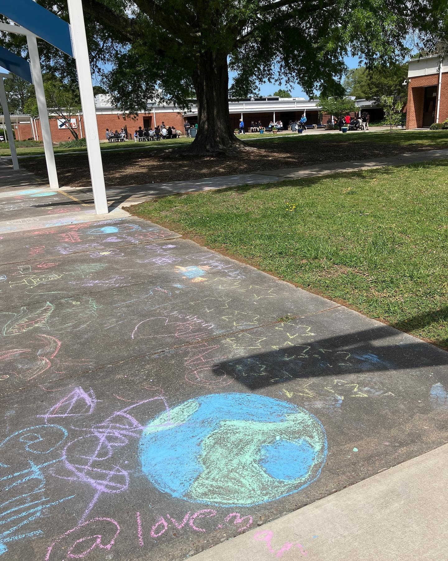 Happy Earth Day everyone! Hope you all are able to get outside and enjoy this beautiful planet, even if just for a few minutes. 
I spent my morning speaking to 8th graders about plastic pollution. Then I was treated to a talk by @esp_seniors as they 