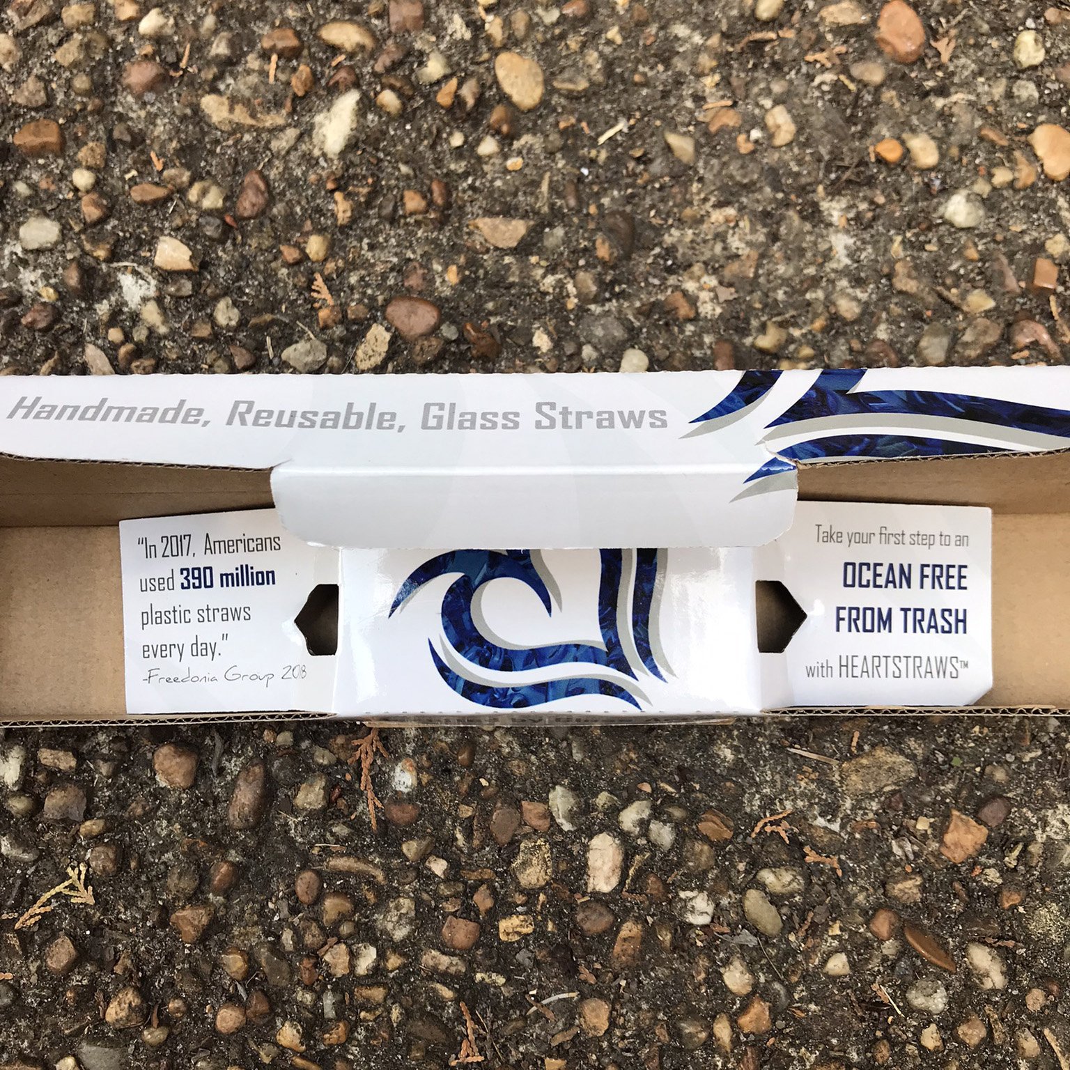 Box Inside.jpg