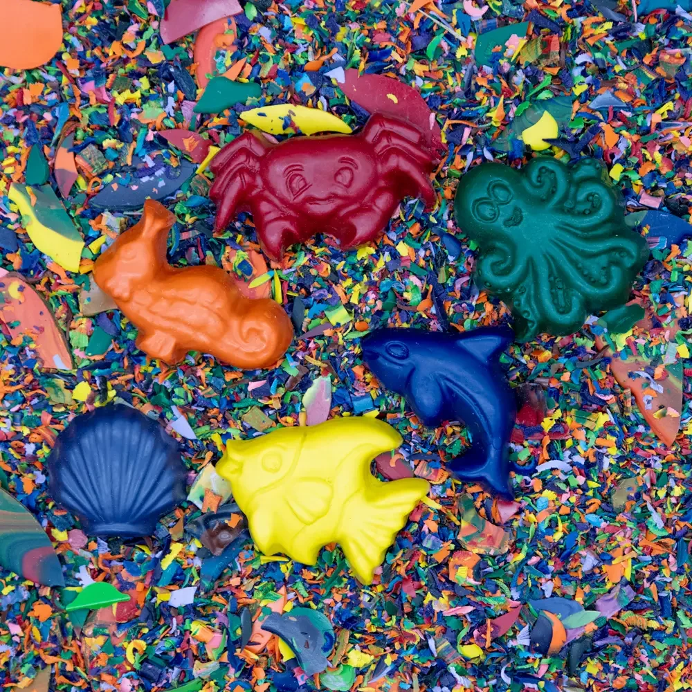 CrazyCrayons OceanAnimals SolidColor 1.webp