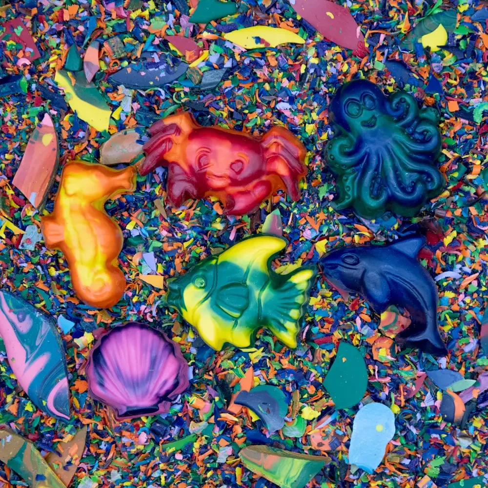 CrazyCrayons OceanAnimalsMulti Color 1.webp