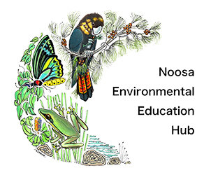 Noosa EEHub